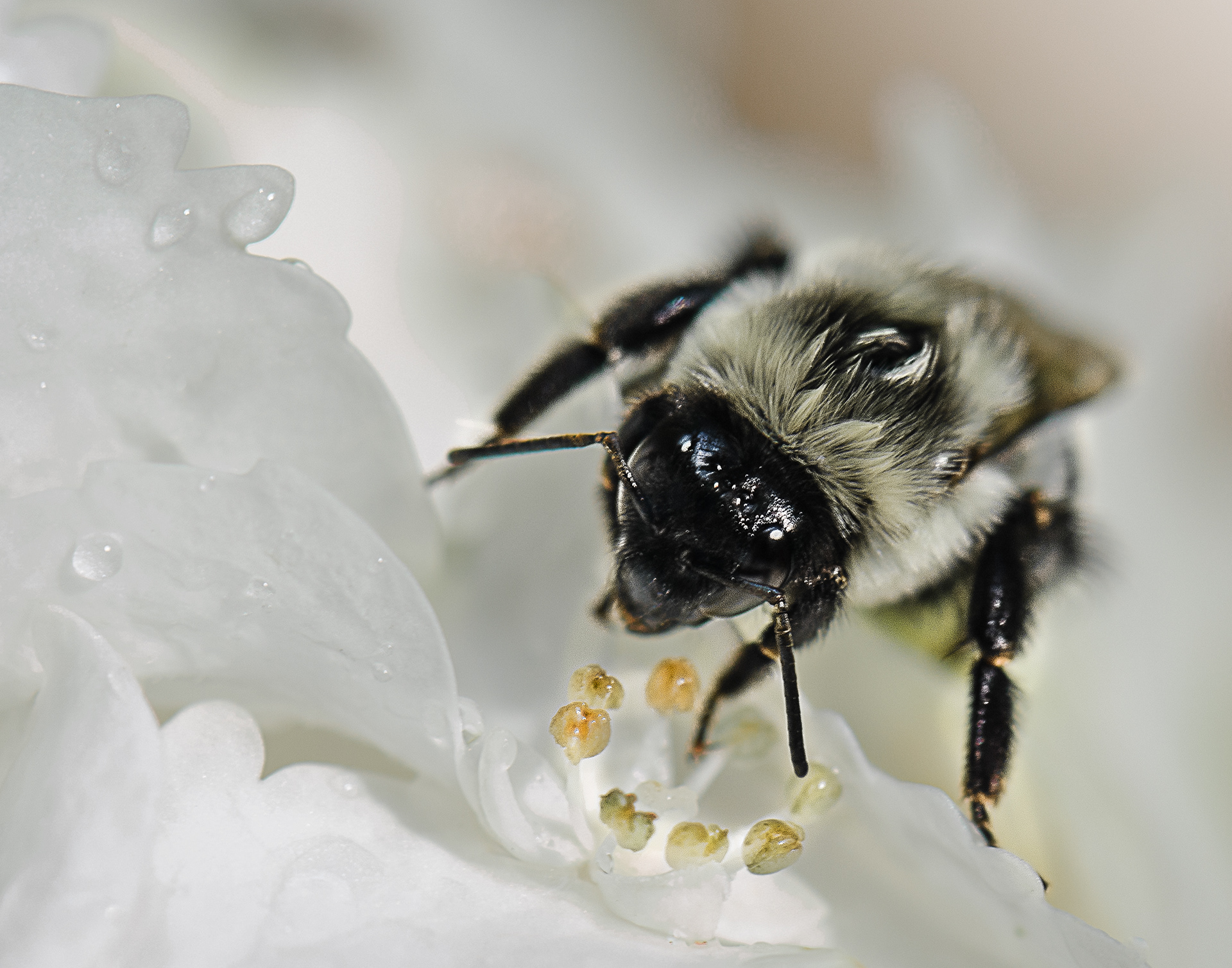 Photography by Elaine Johnston