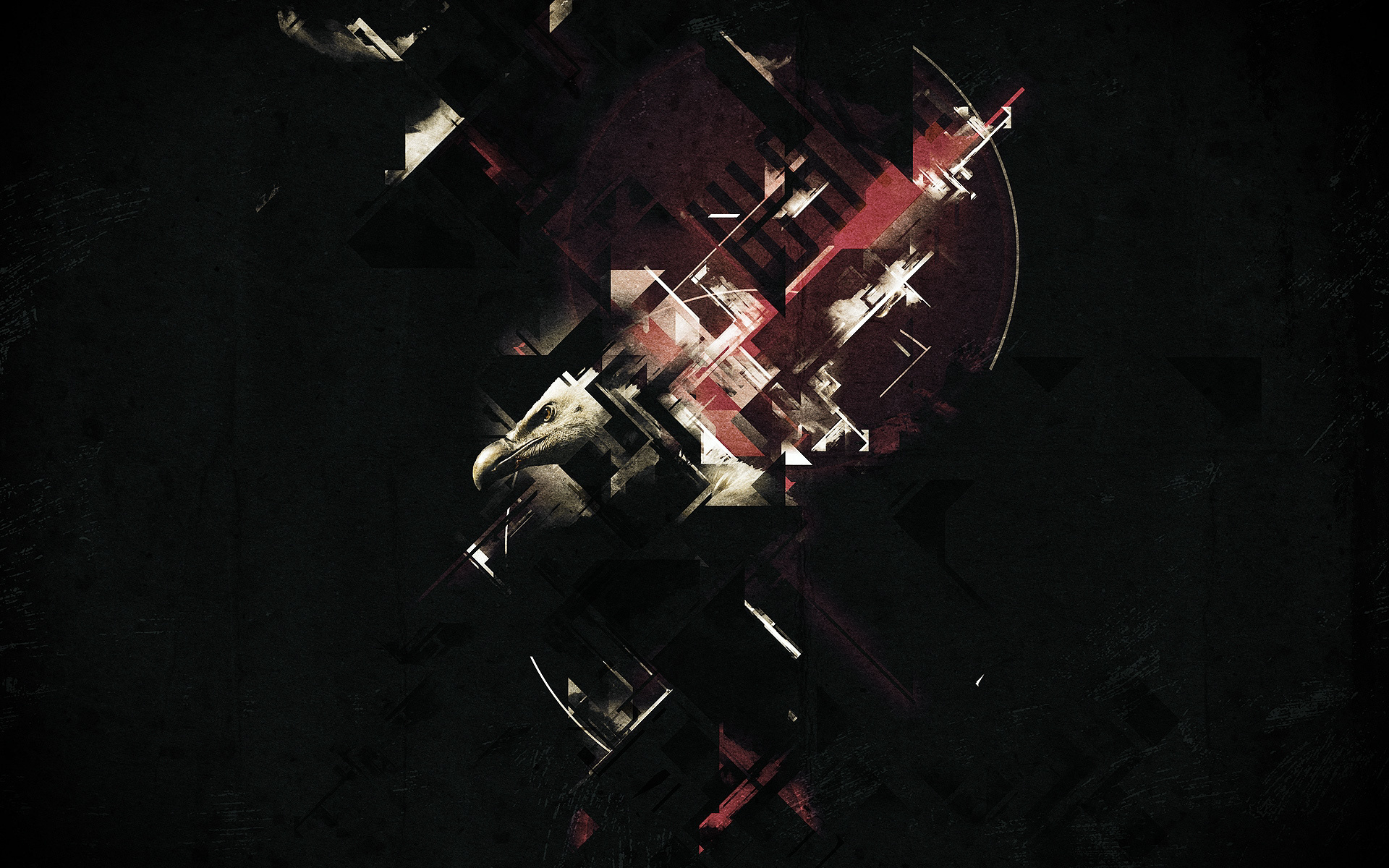 Wake (2011)