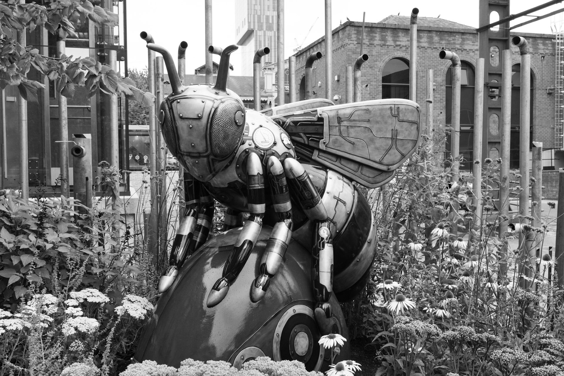 Bee's of Manchester Science Museum