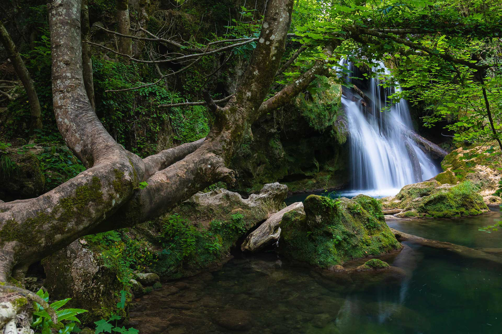 La Văioaga