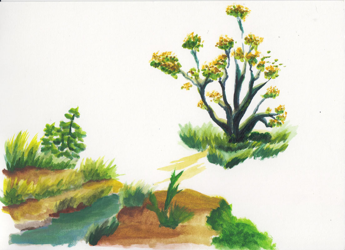 Watercolour