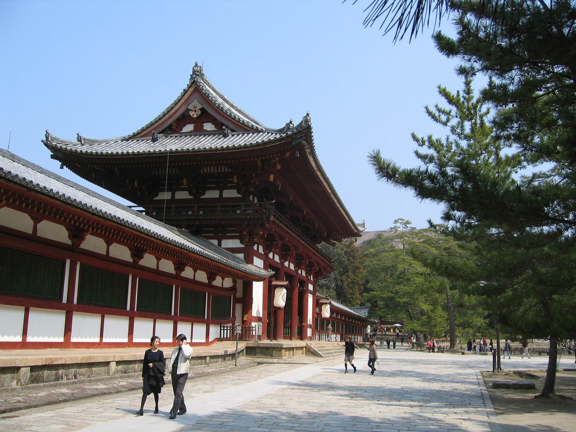 SONY DSC