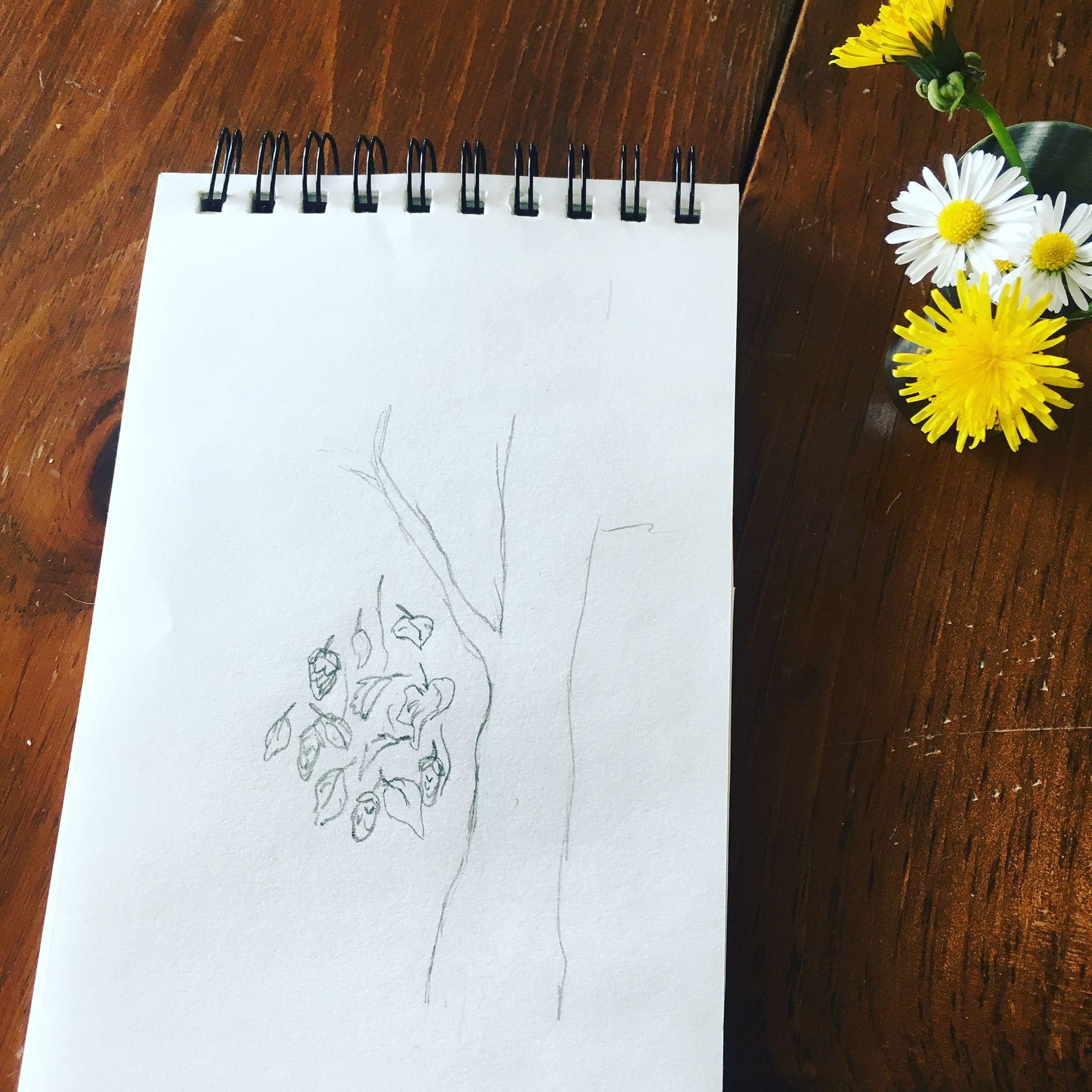 Sketching