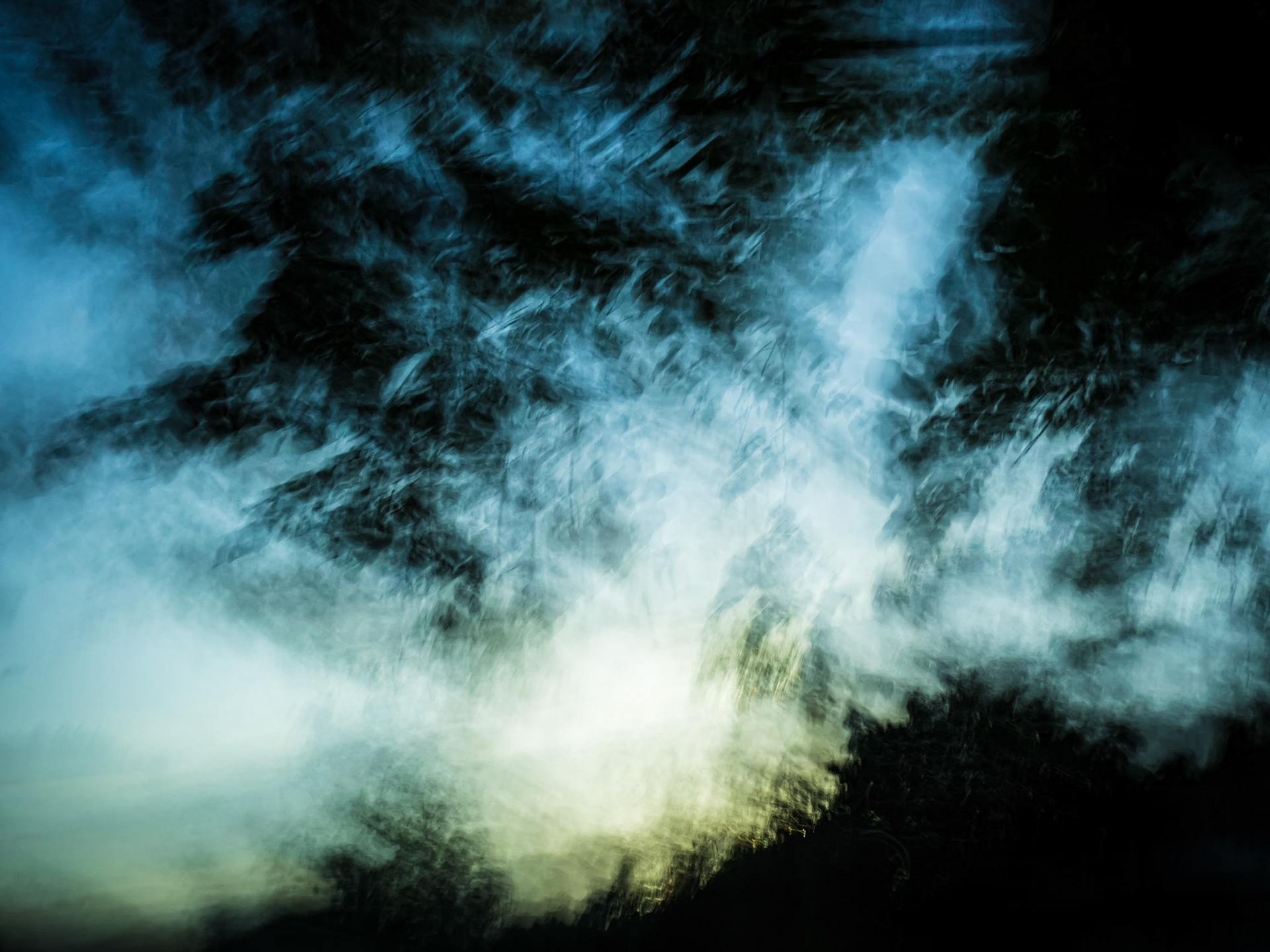 Dawn Leaves
