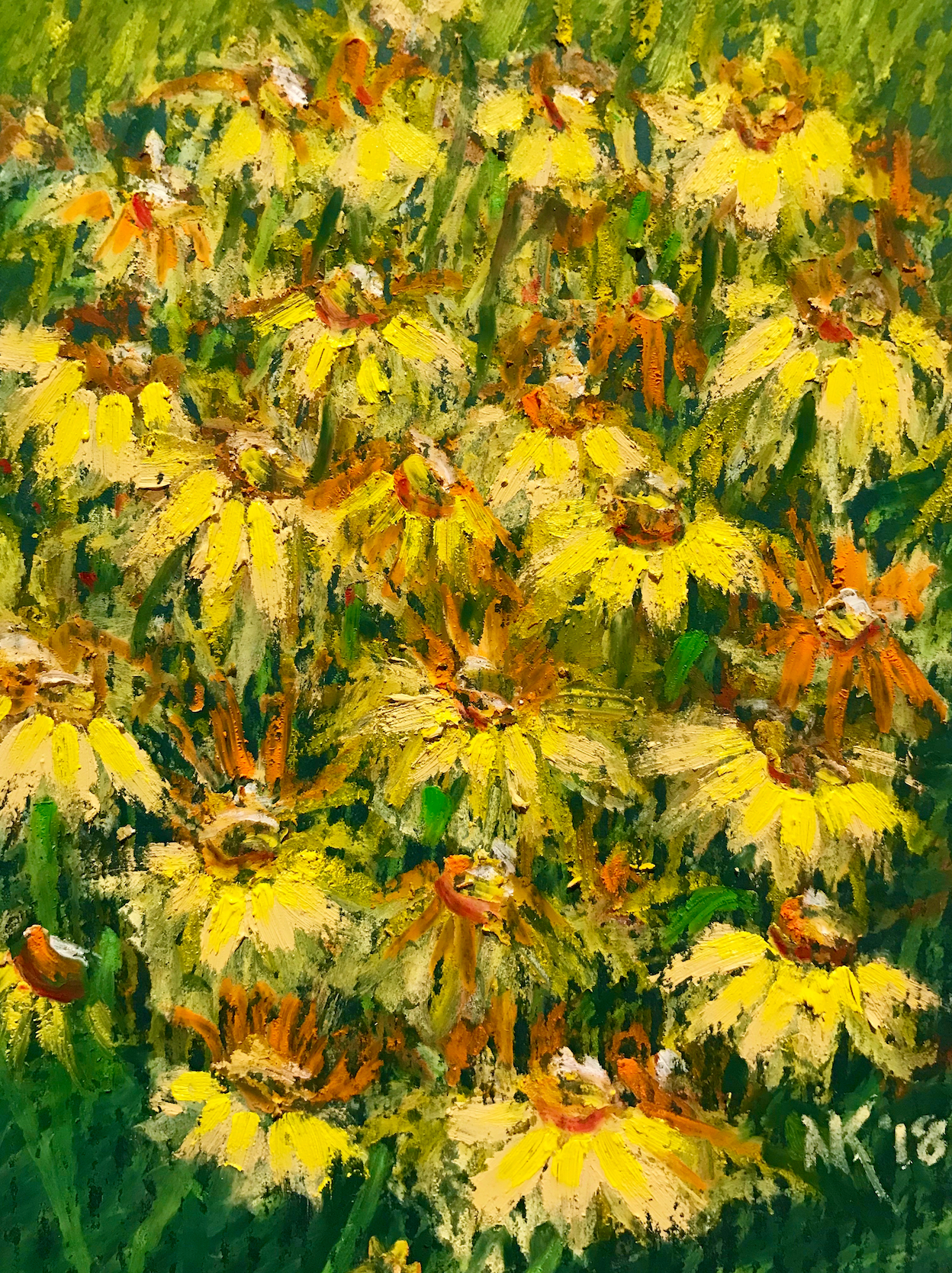 Yellow Coneflowers, 2018