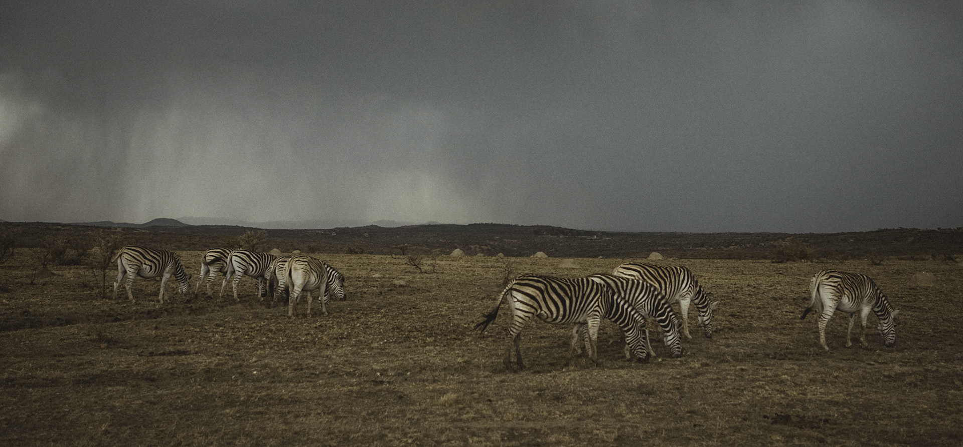 Nambiti Hills Private Game Reserve.
