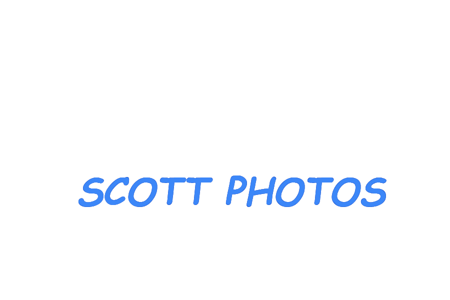 Ashley Scott Photos