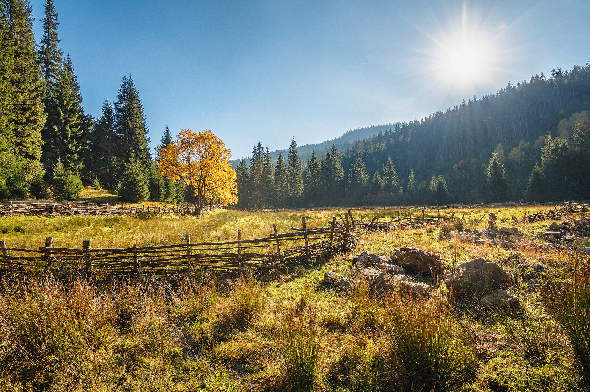 Krkonose, Czech Republic
