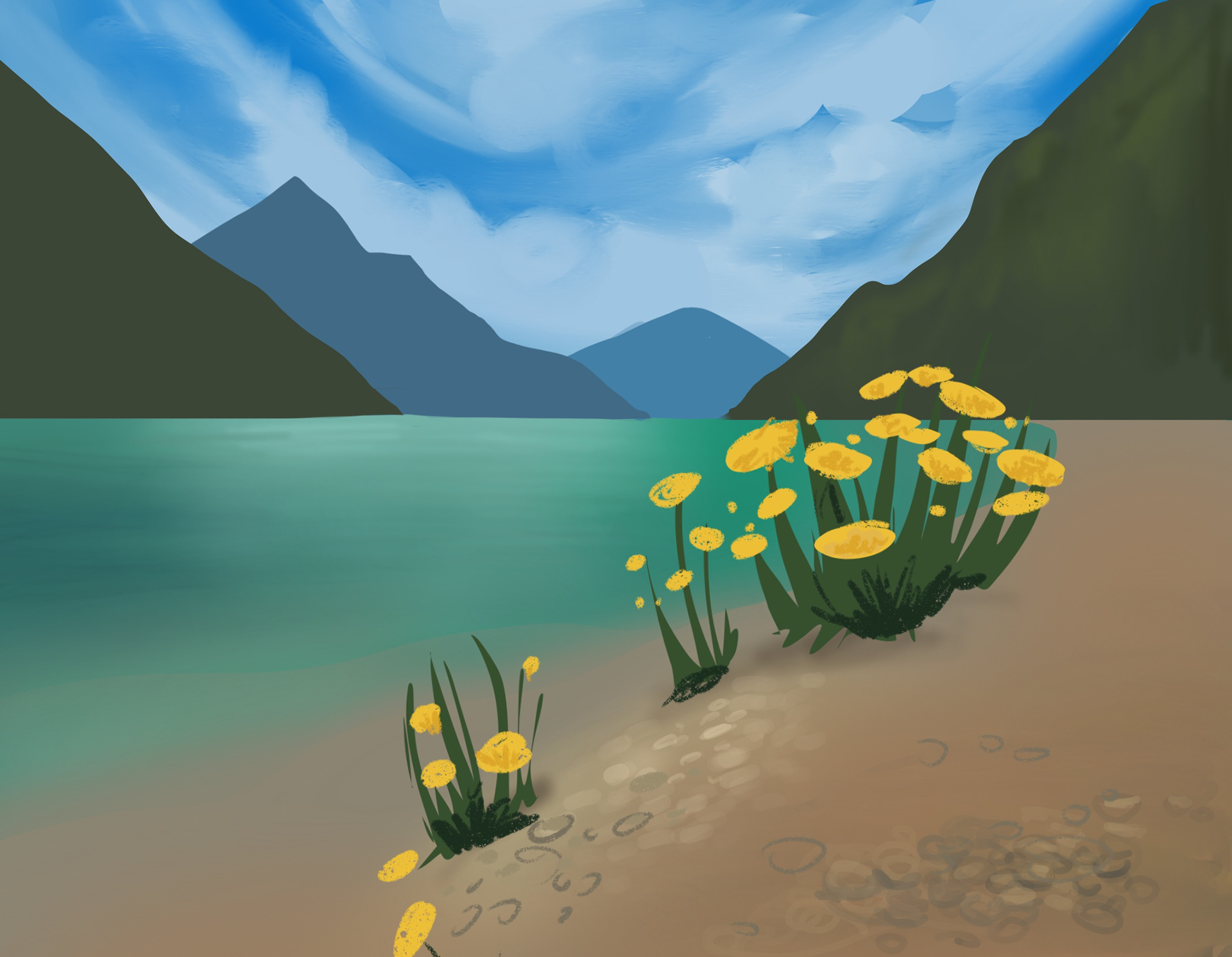 Photo study. 5 min