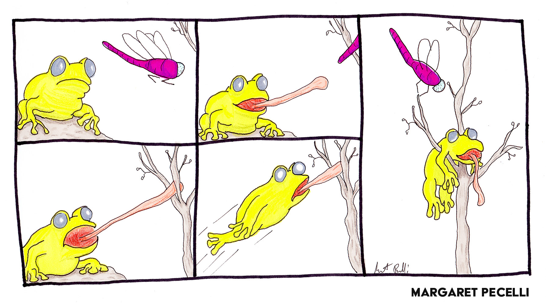 Frog Comic, just for fun