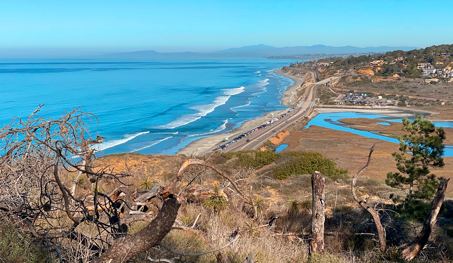 Torrey Pines State Reserve at Guy Fleming's Trail