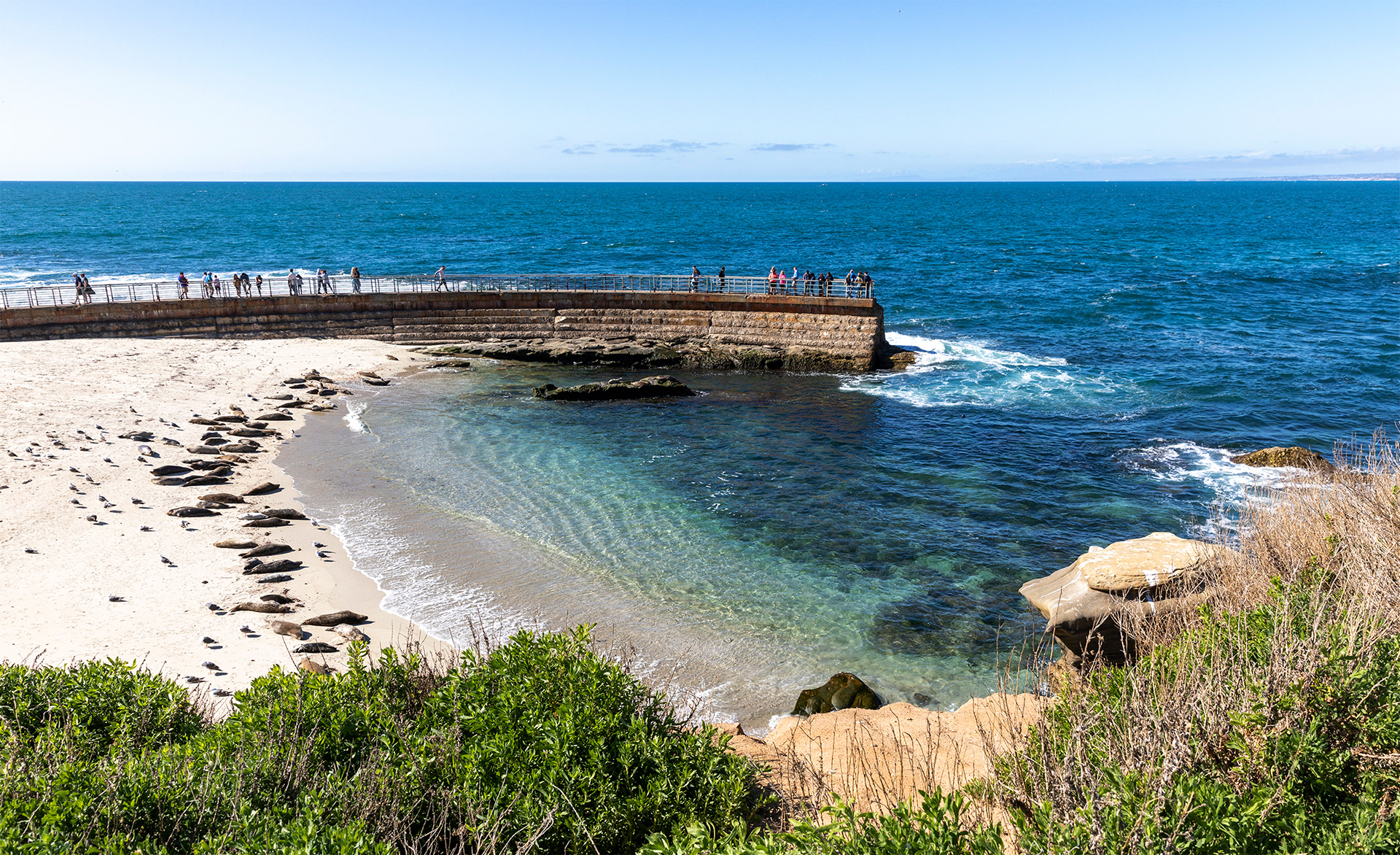 La Jolla Cove