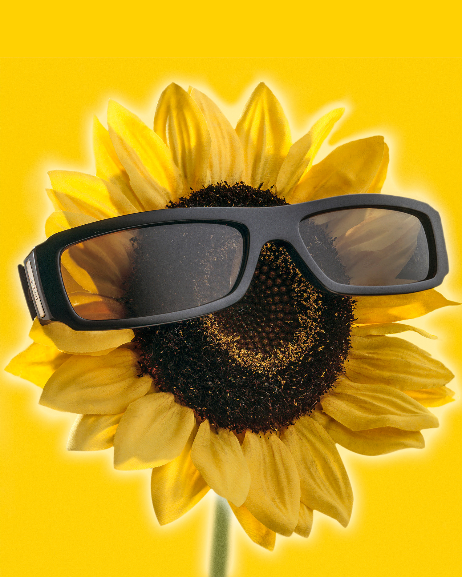 Sam Mory - Valoriser - Still life - Luxe & mode