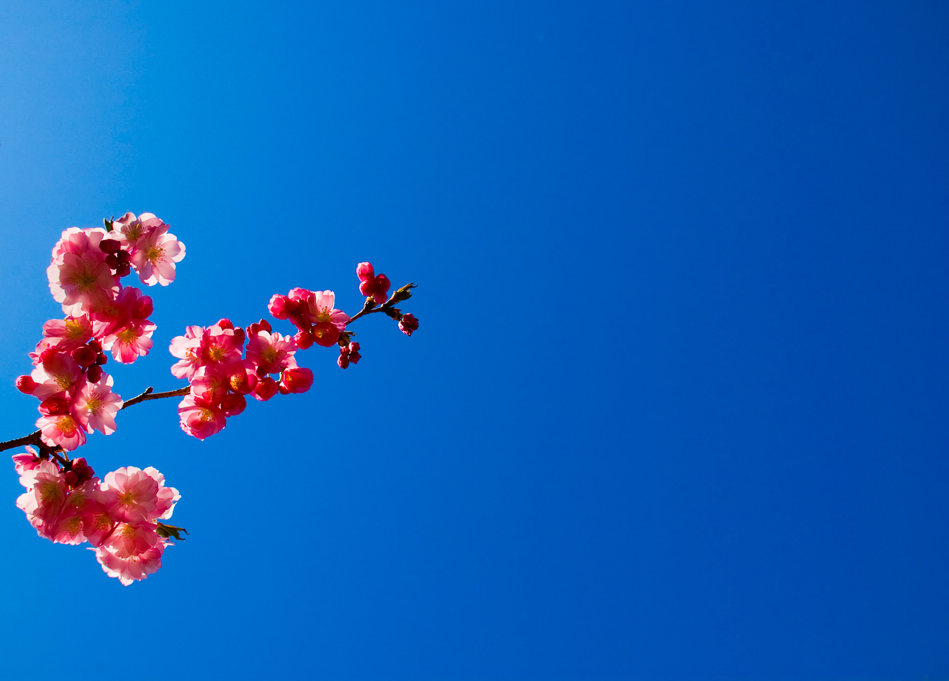 Blue Skies, Smiling At Me
