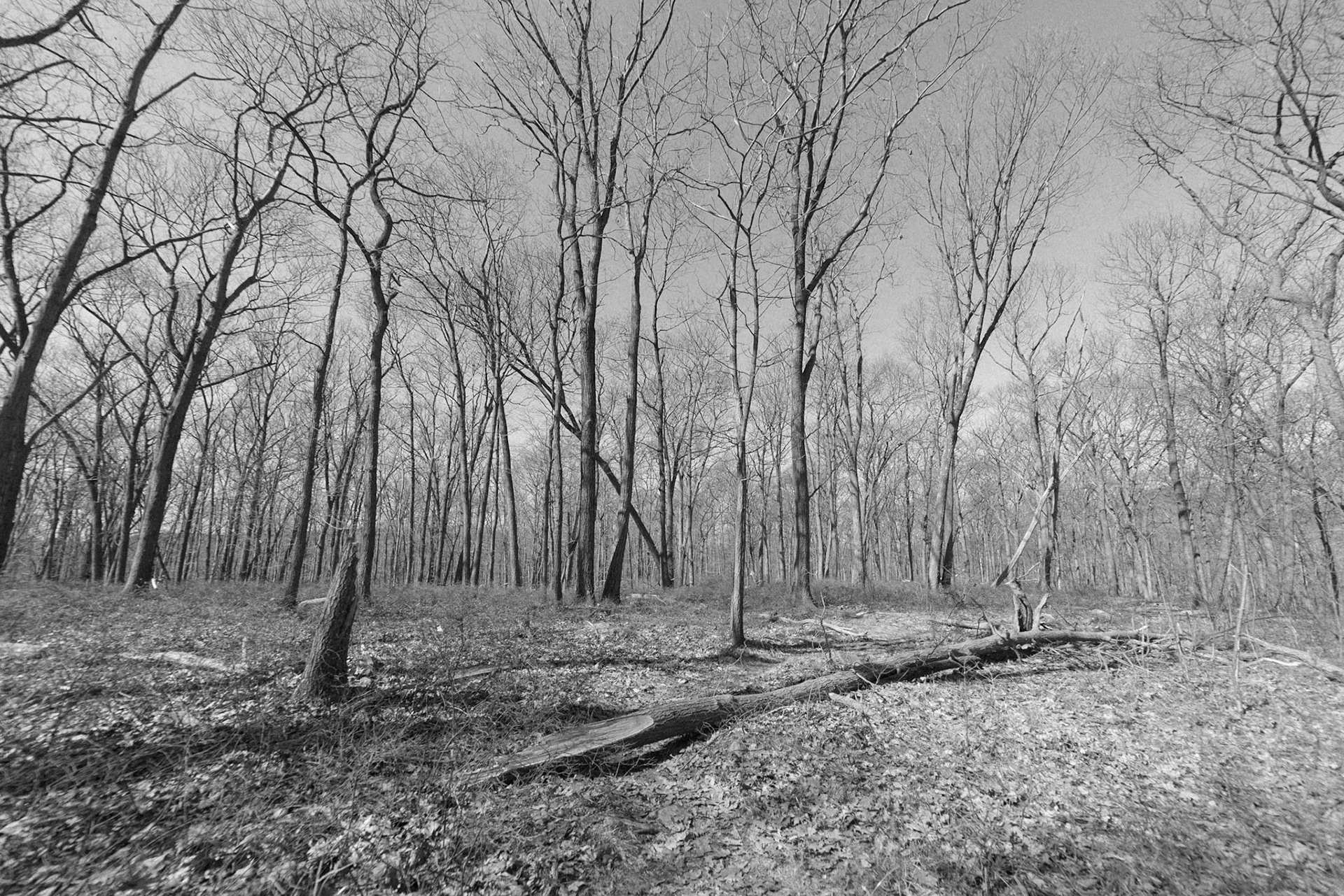 On the Eve of Spring 5