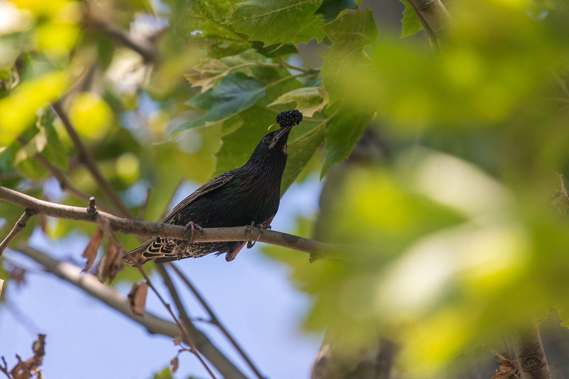 Sense of accomplishment