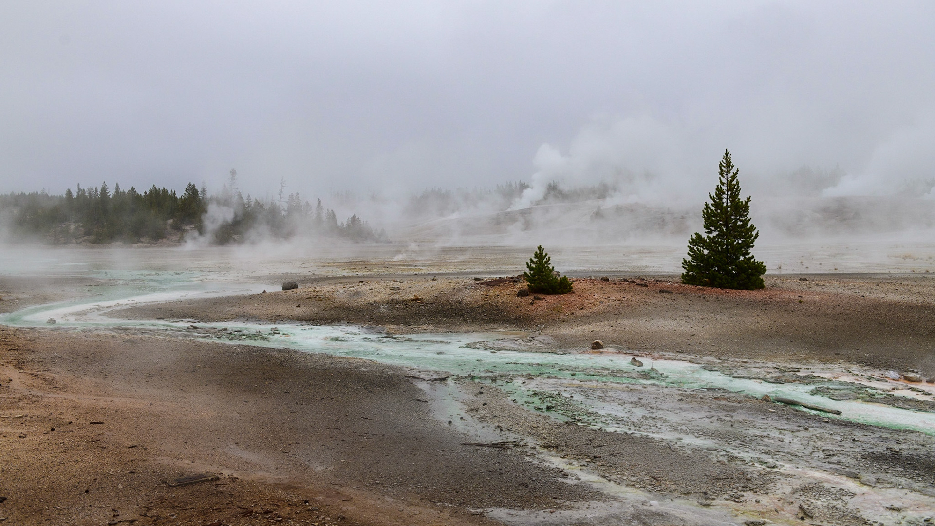 Those who travel and those who stay