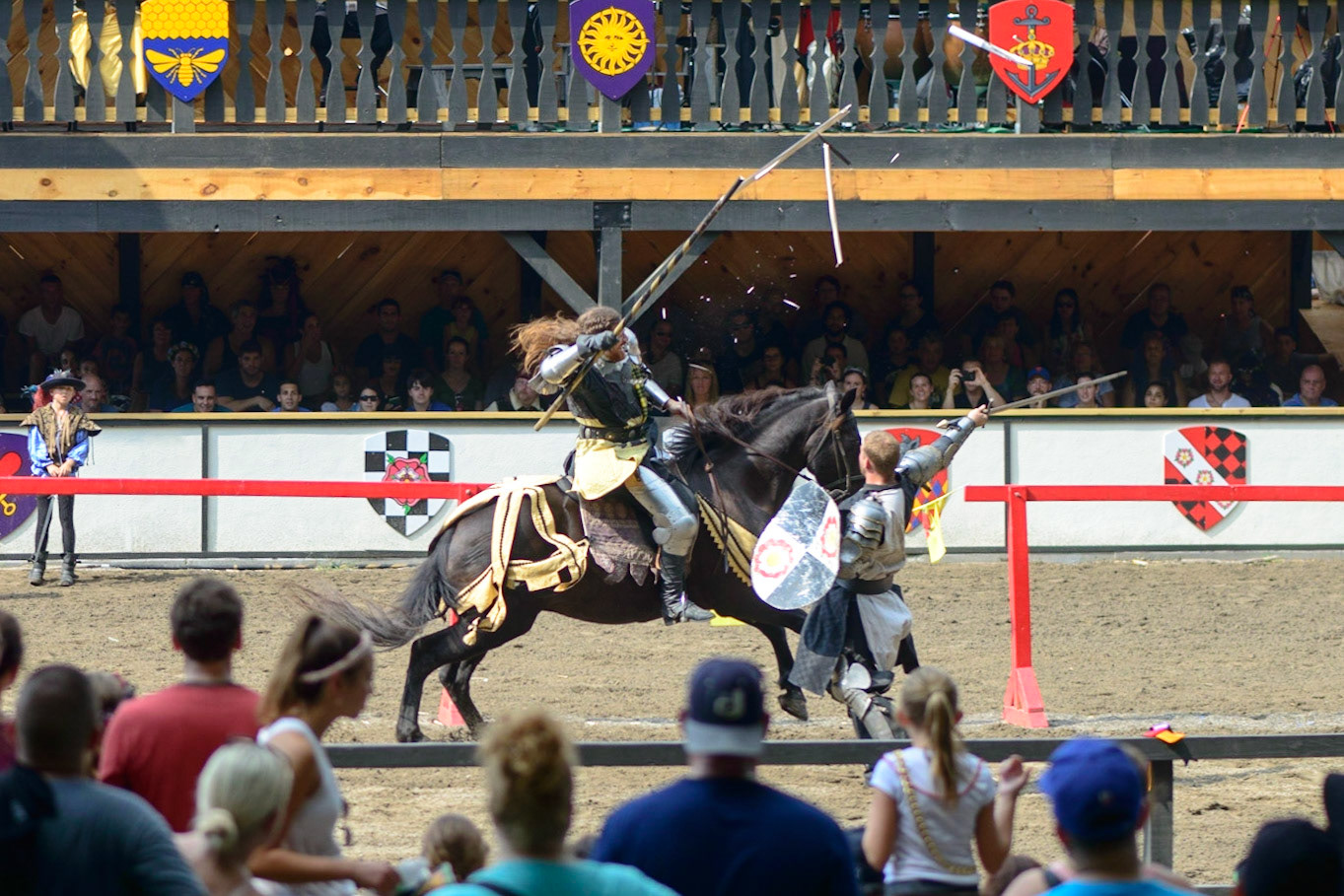 Joust