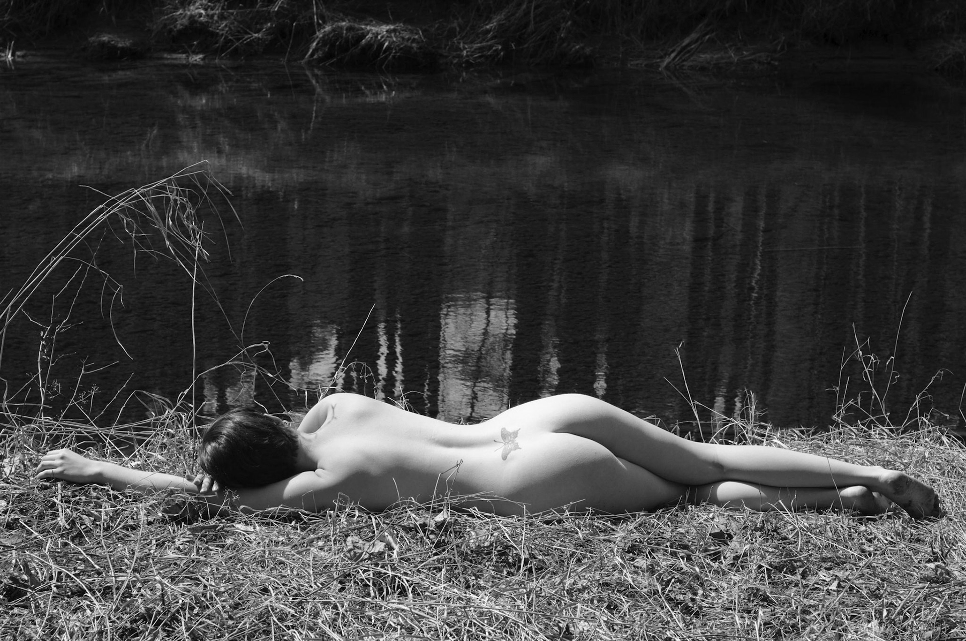 Butterfly by the River