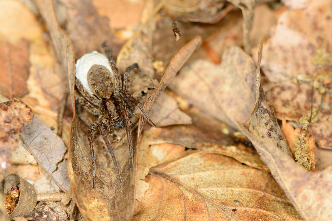 Soon to be proud momma