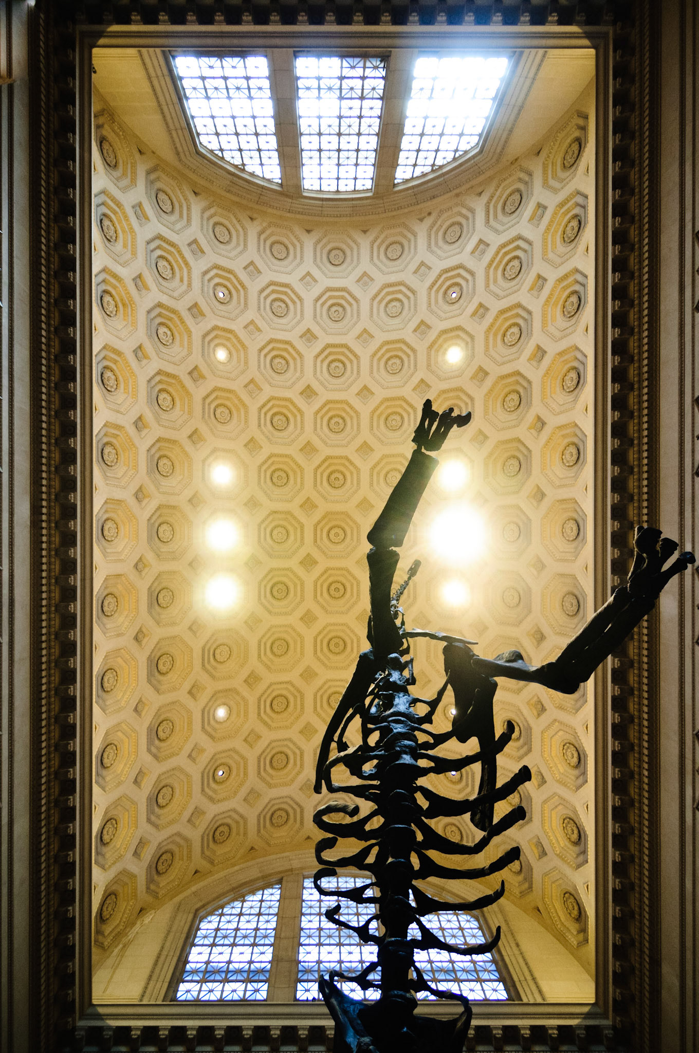 When Dinosaurs Ruled the Earth