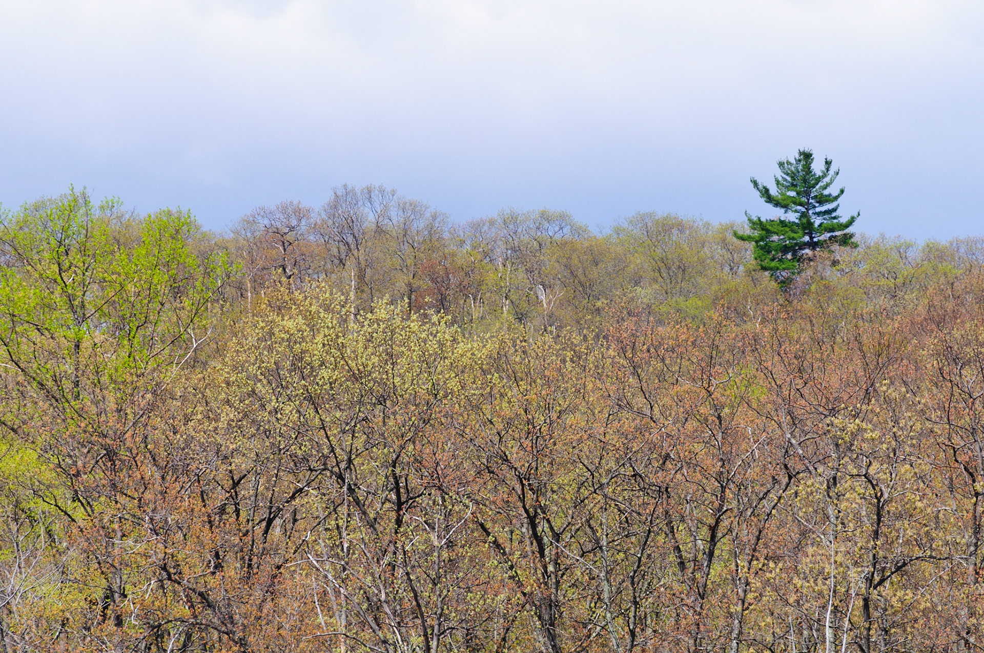 What we do to stand out