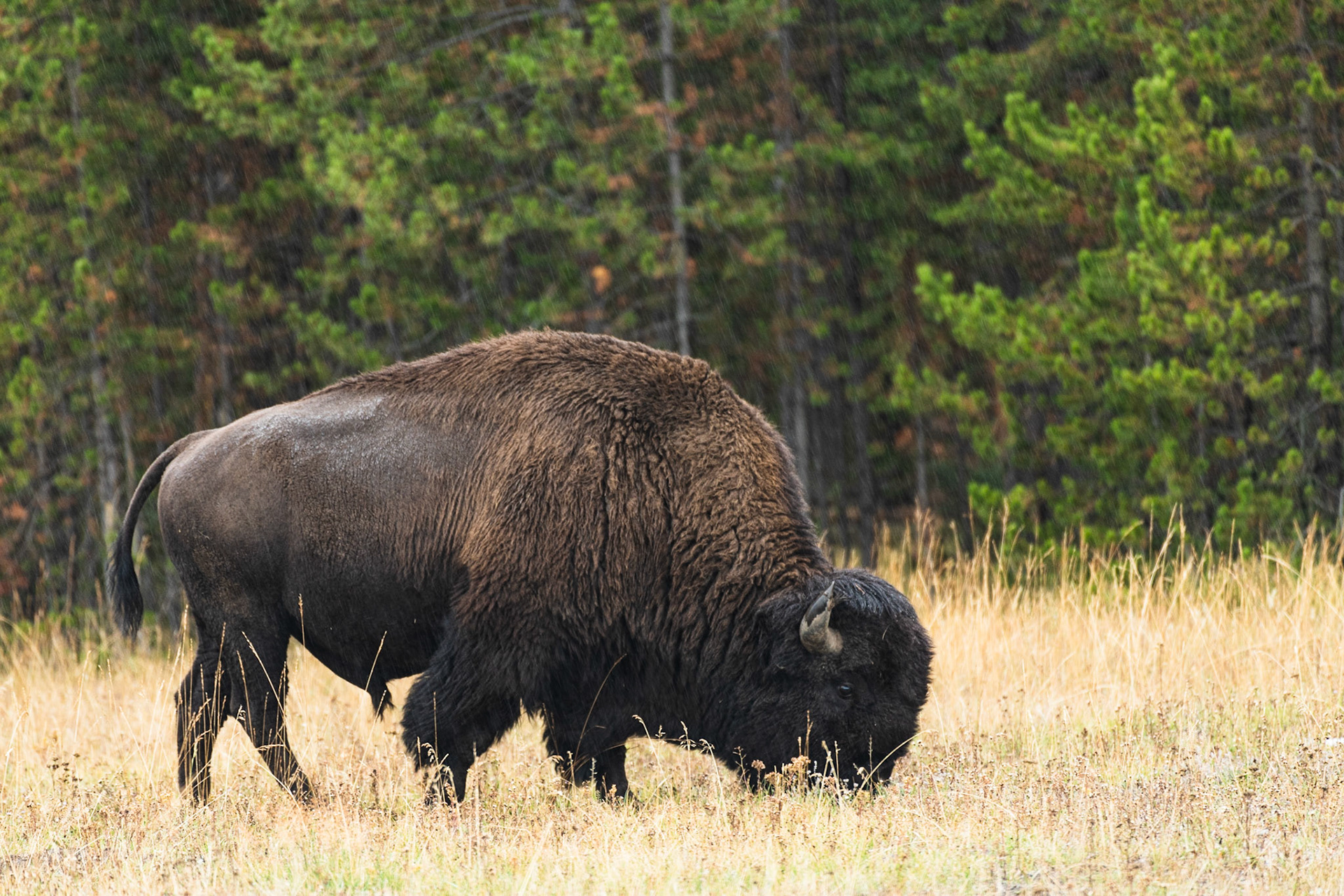 Time for my close up