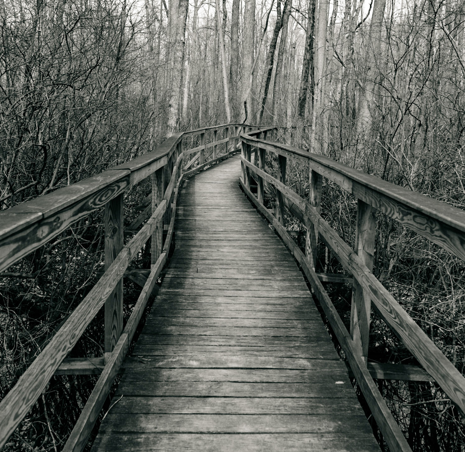 In the not too distant future