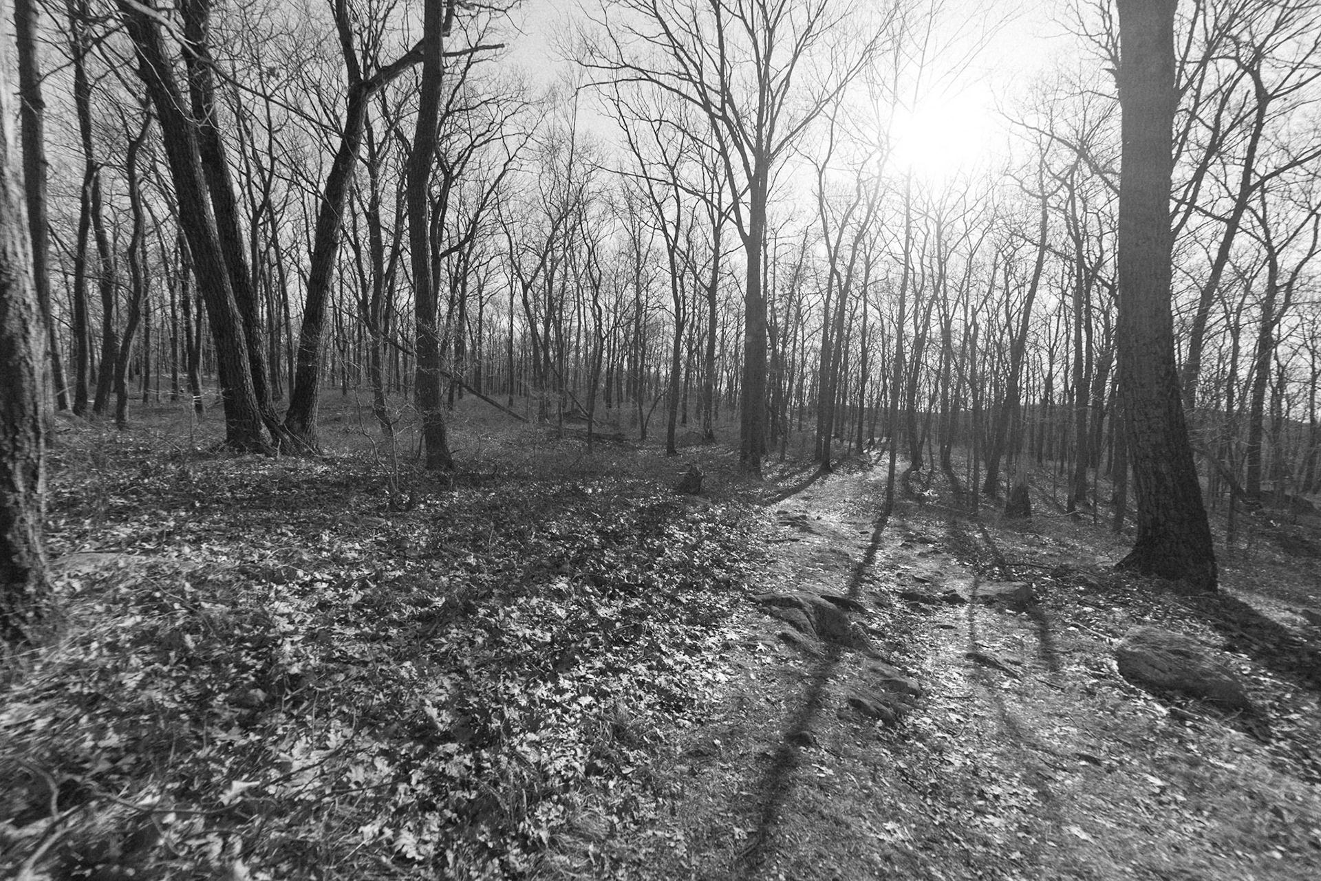 On the Eve of Spring 8