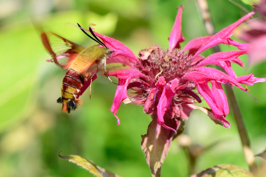 Snacking While Flying