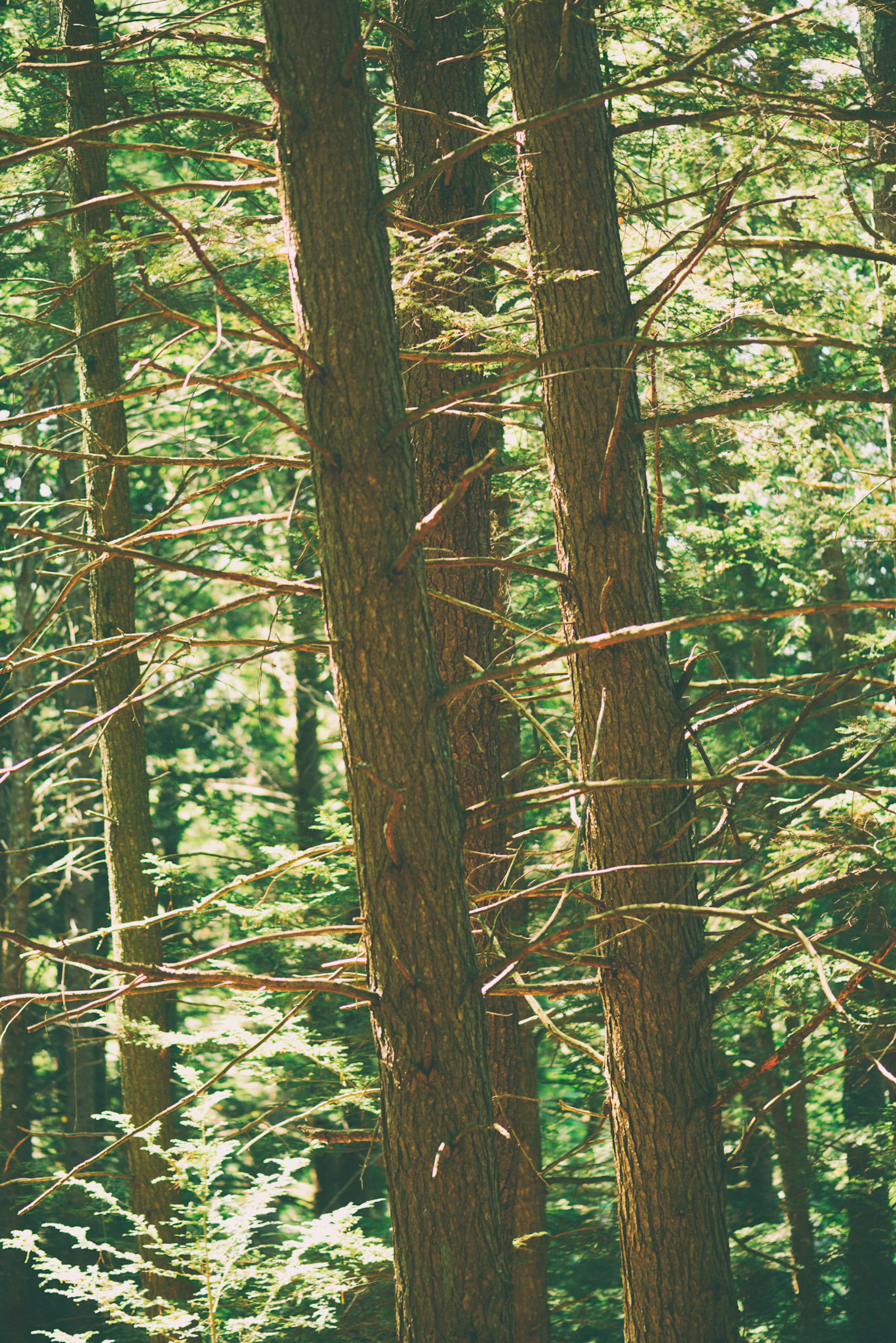 It was the best of times