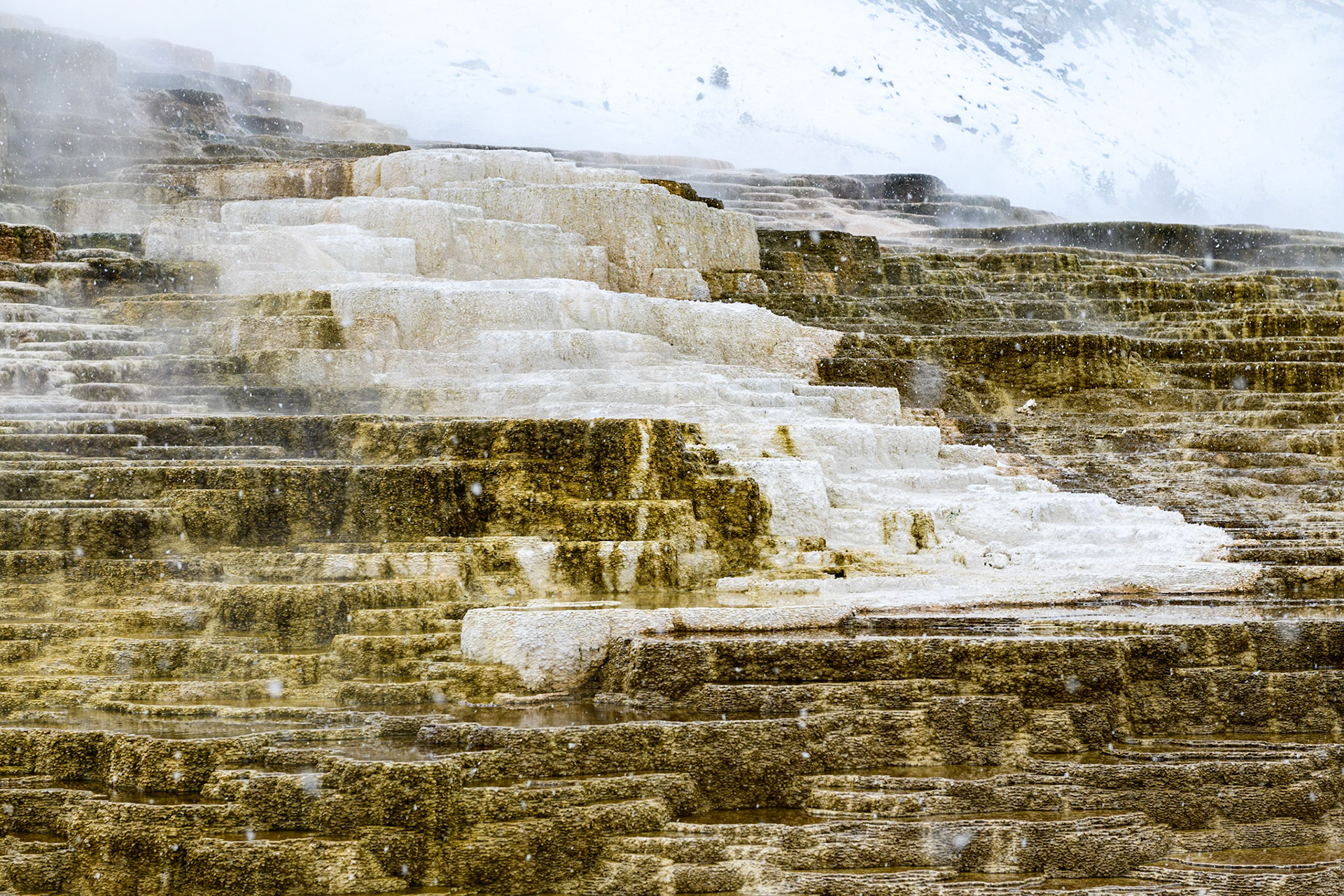 Mammoth Hot Springs