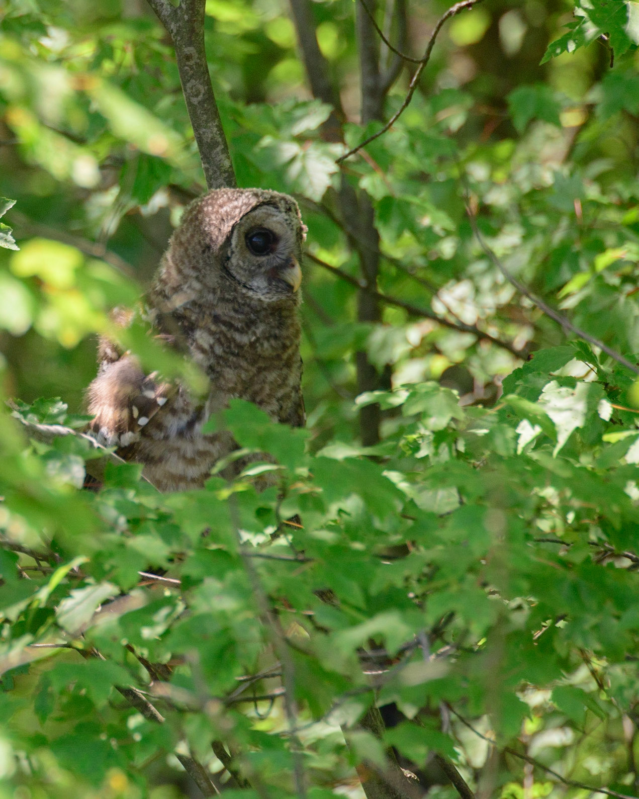 It's actually really hard