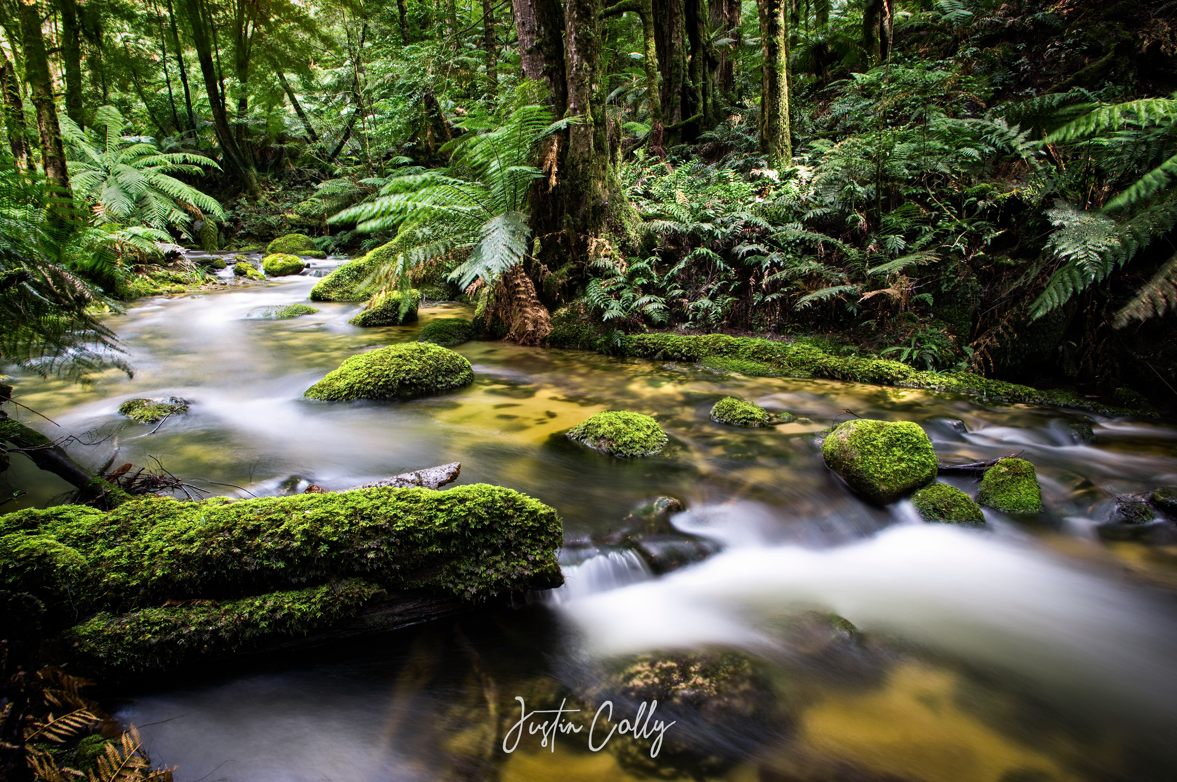Creek flowing from the Baw Baw Plateau