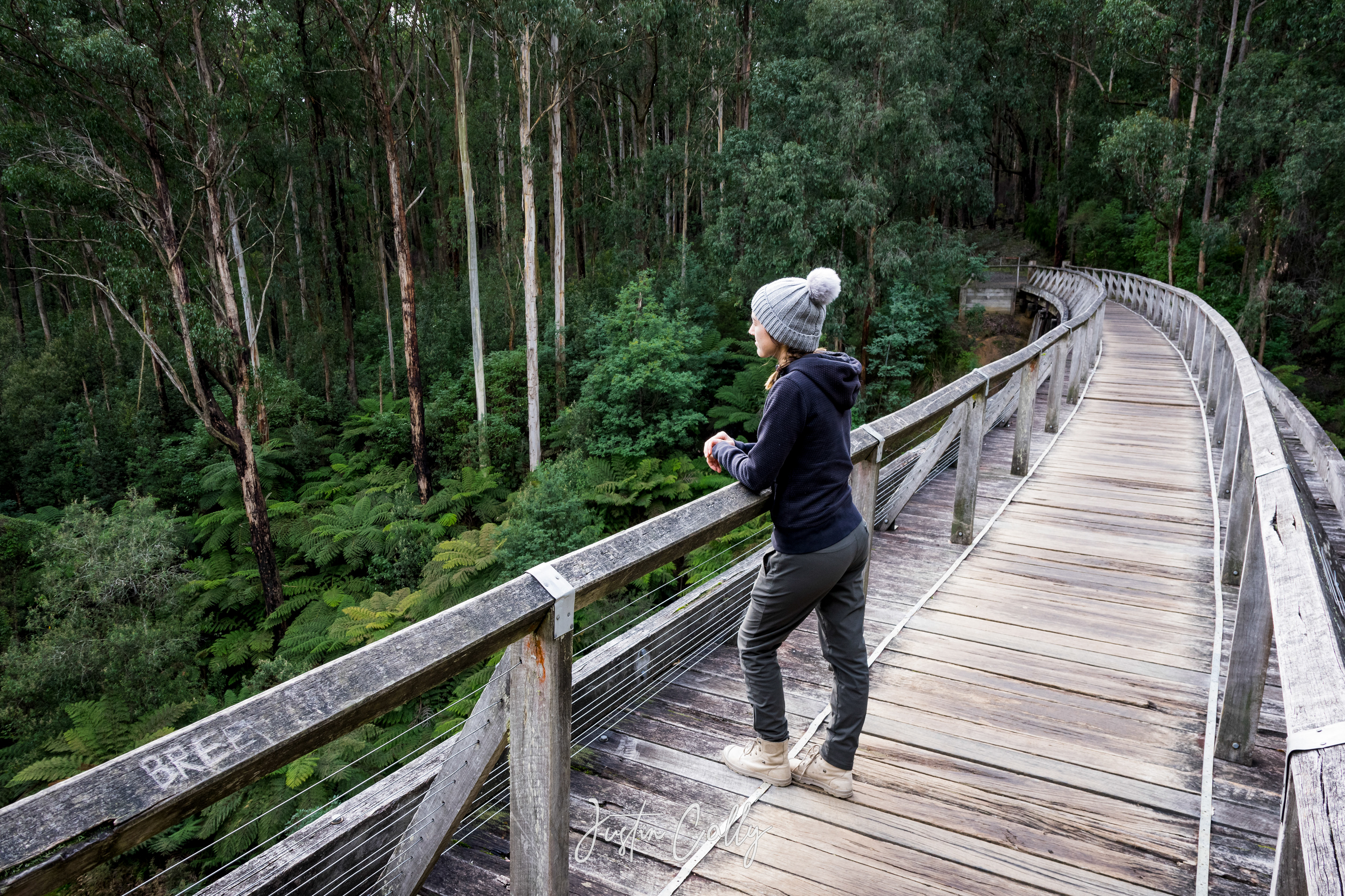 Noojee Trestle Bridge