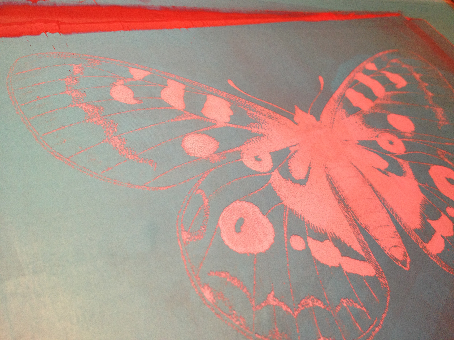 Sieb für "Kartenfalter" - 2013