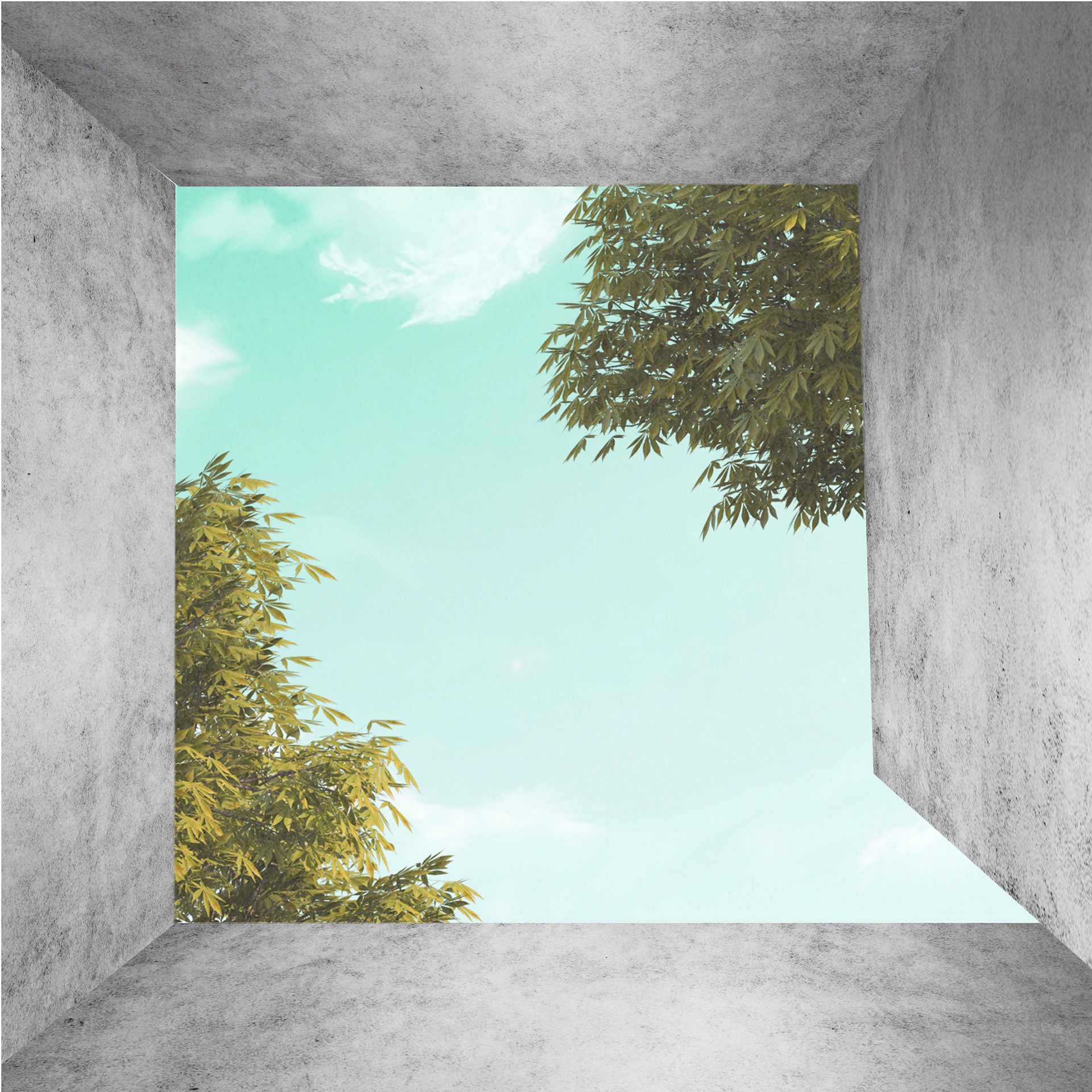 Collage of viewed towards sky