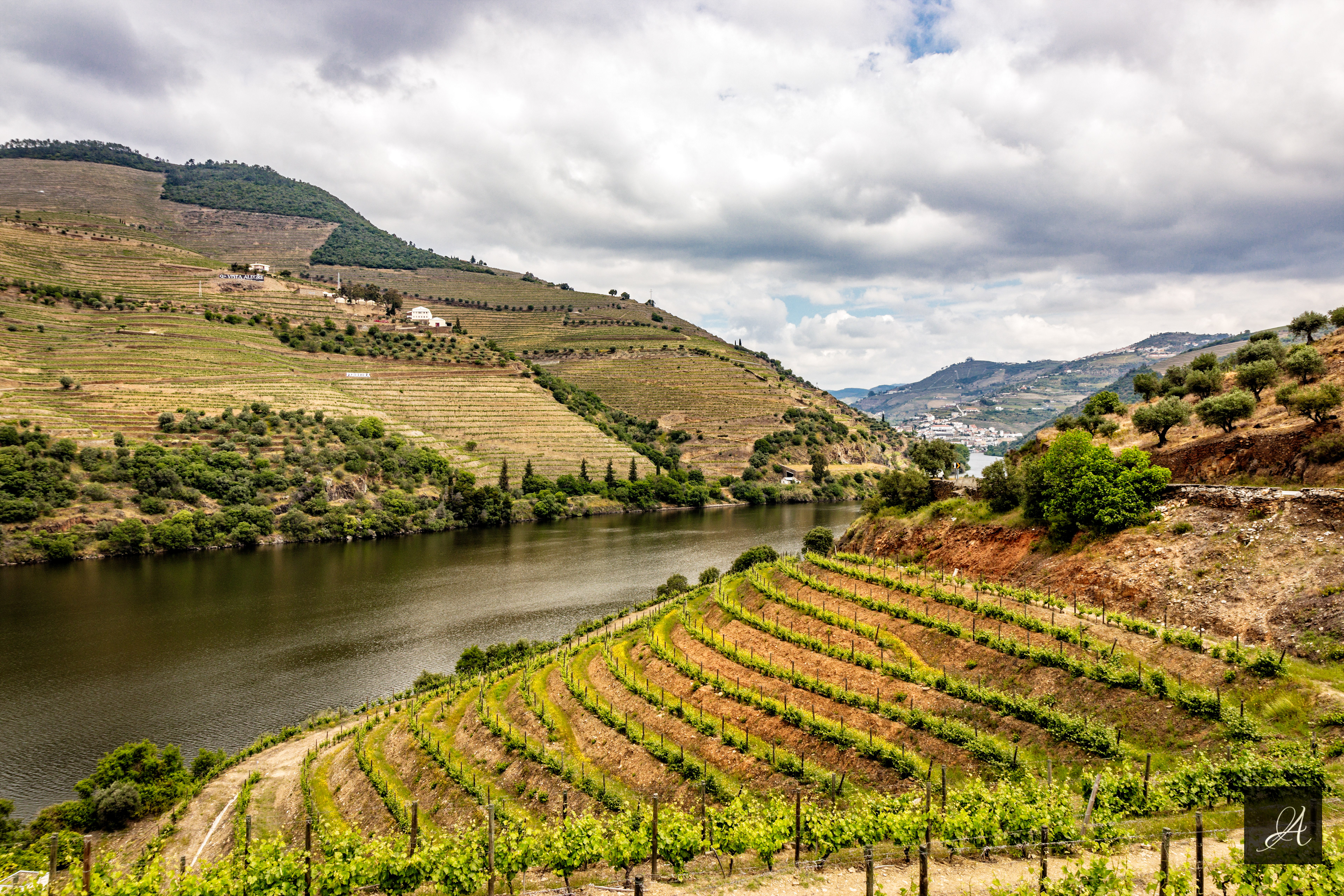 Douro Valley Португалия