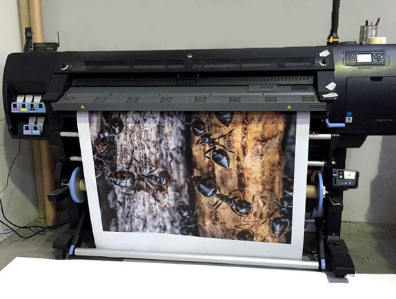 Large format digital print