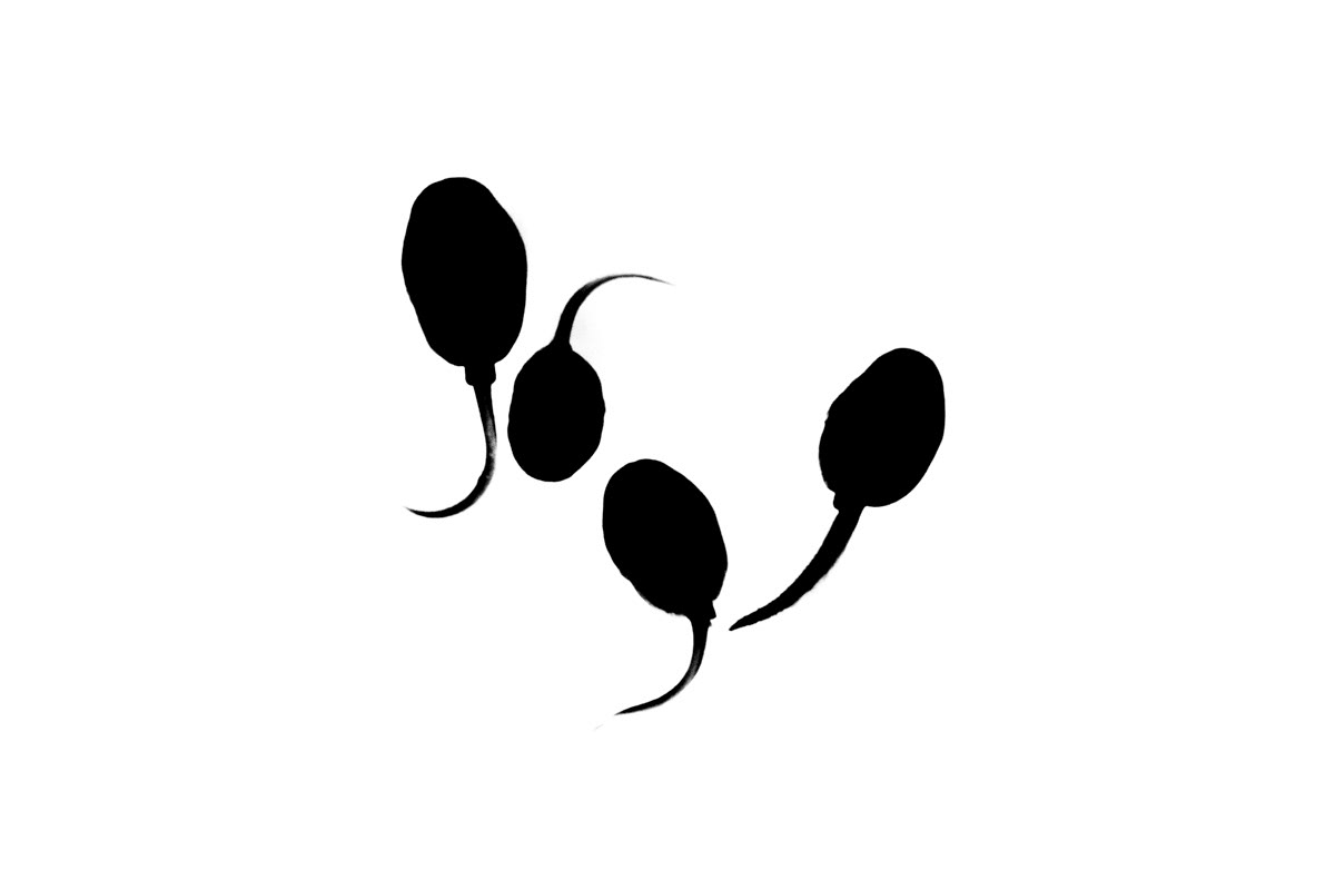 tadpoles