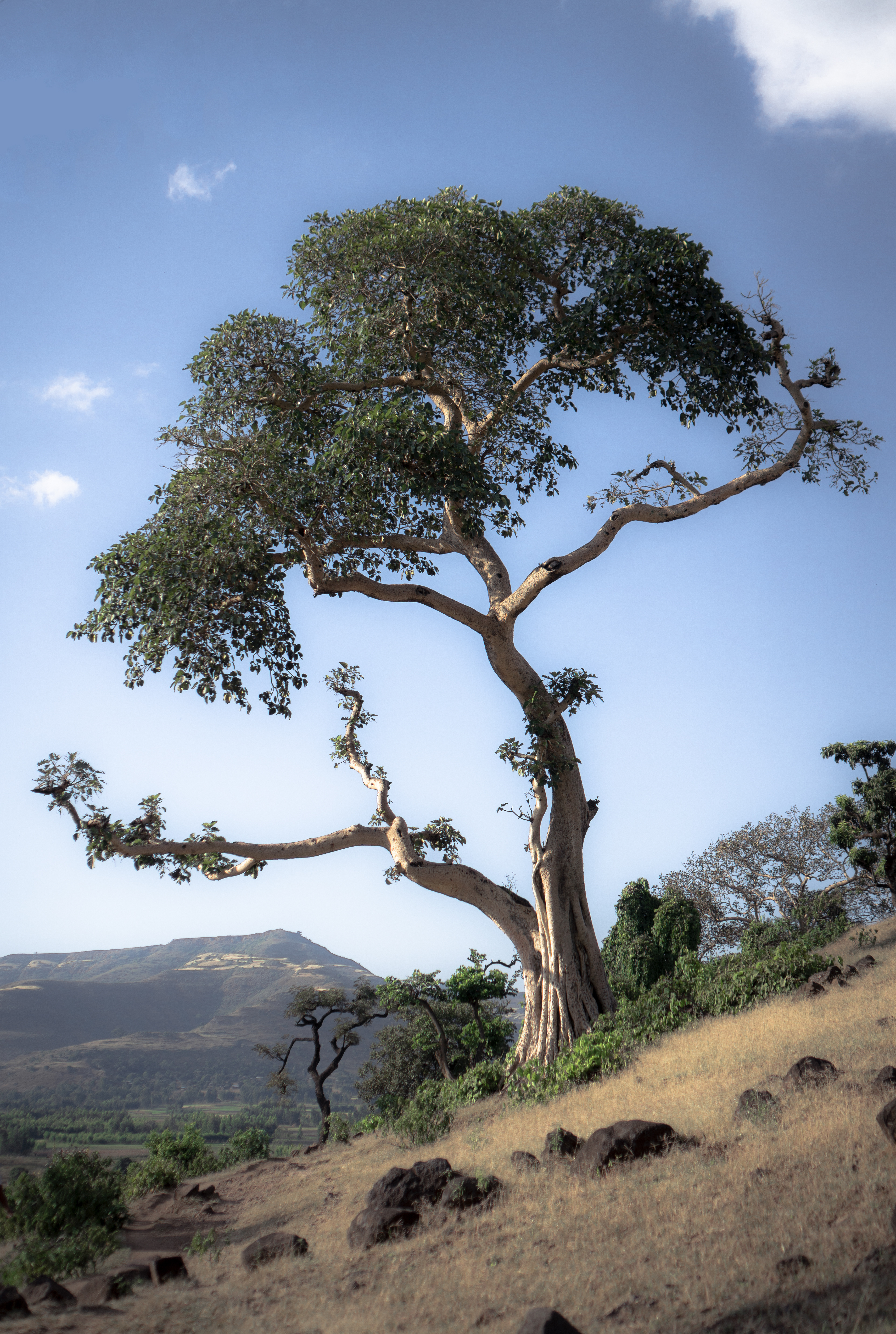 Chute du Nil Bleu - Ethiopie © MARTIN PETEROLFF