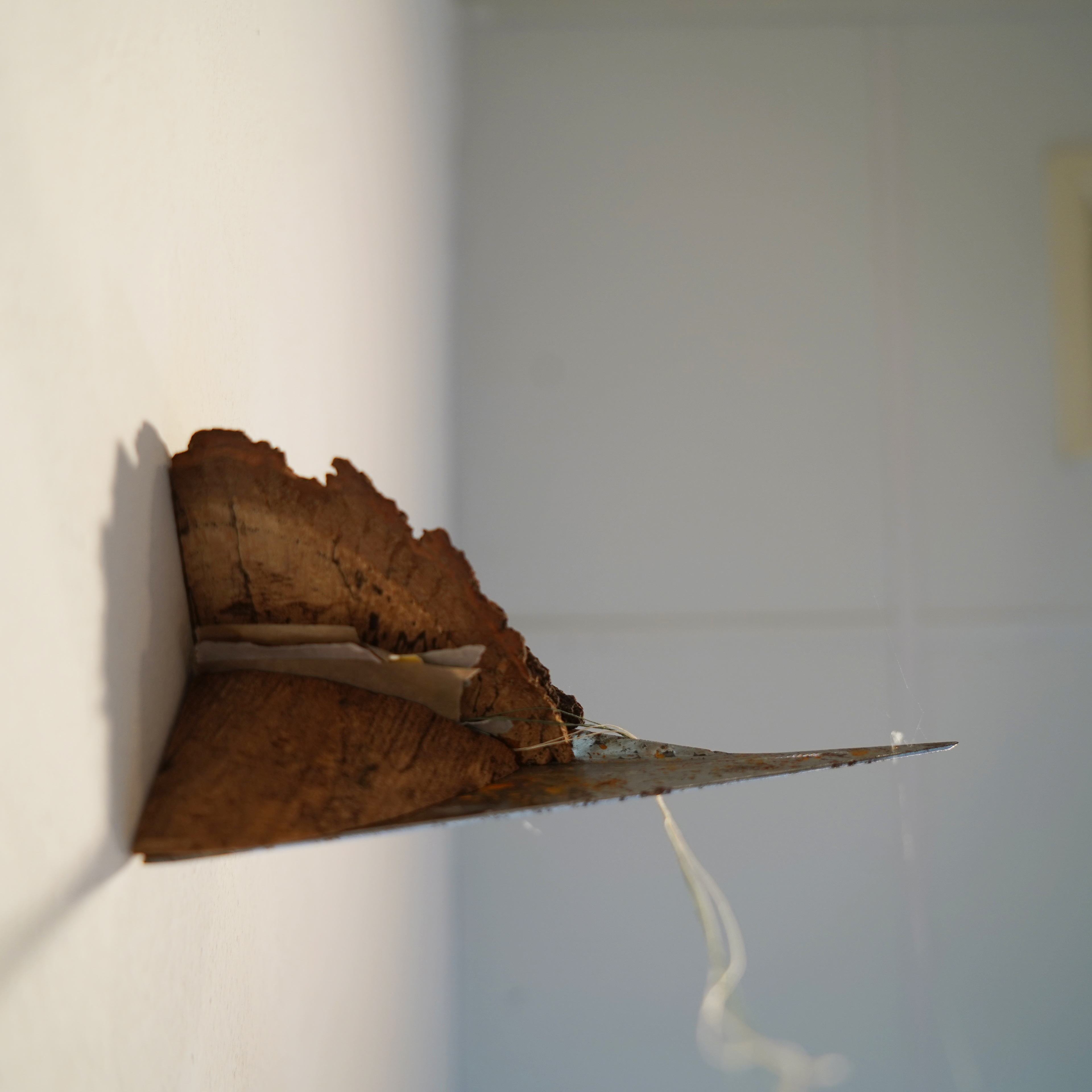 Little Complicated Moments Wood, steel, paper, thread 11