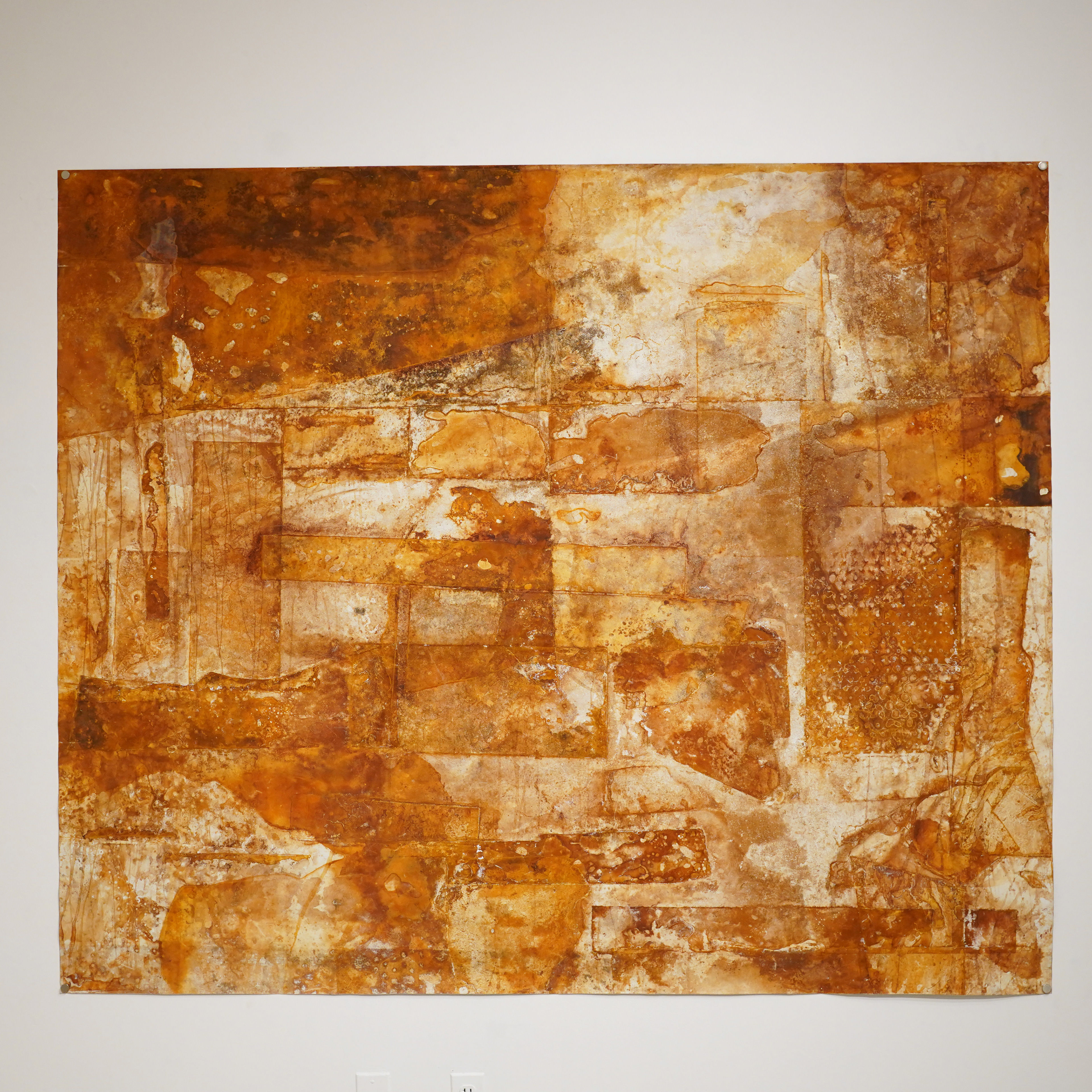 Fragments of a Dream I Hoped to Forget Rust, vinyl 82” x 68”
