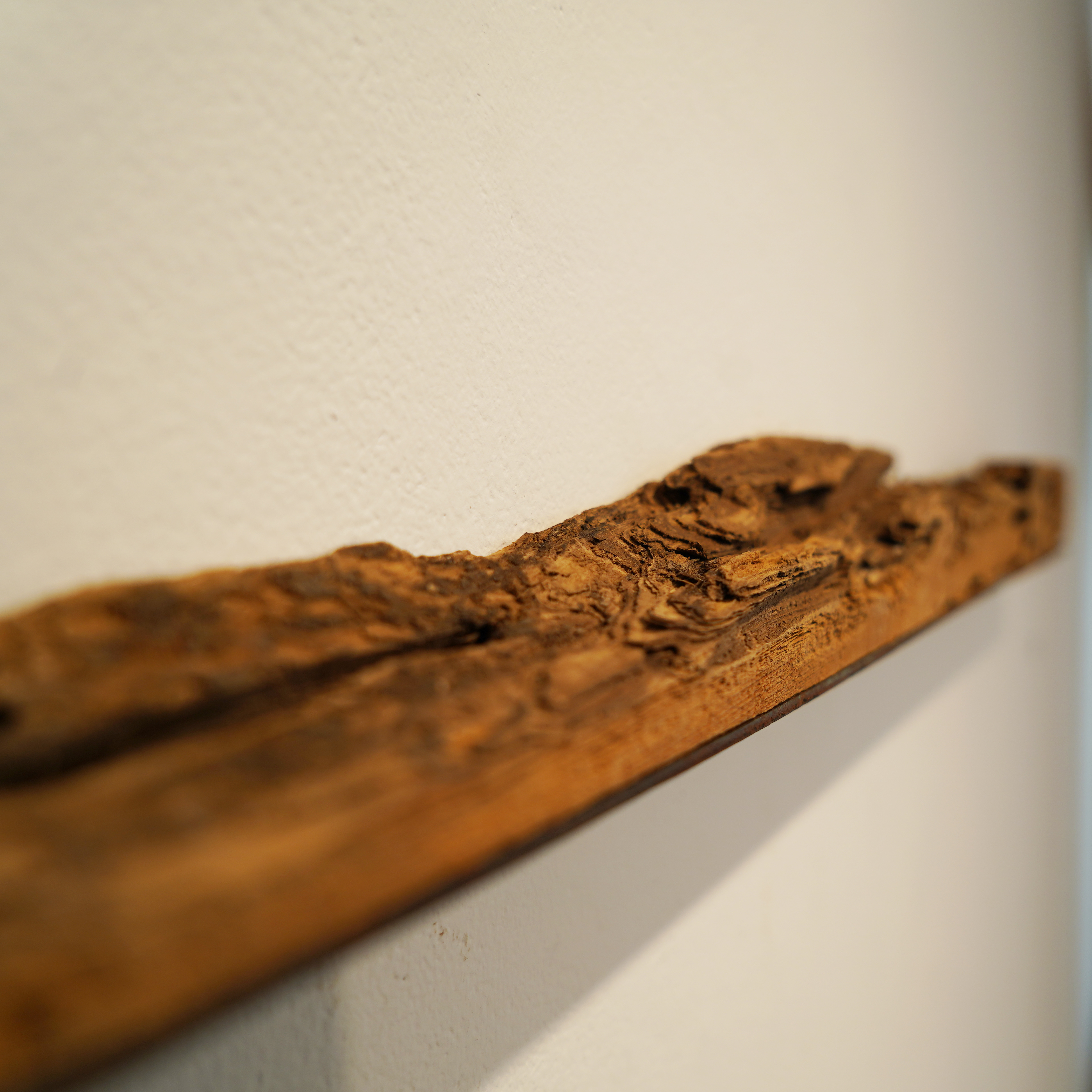 Detail Somewhere Along the Line, We Weren't the Same Wood, steel, paint, rust 58” x 3.5” x 2.4”