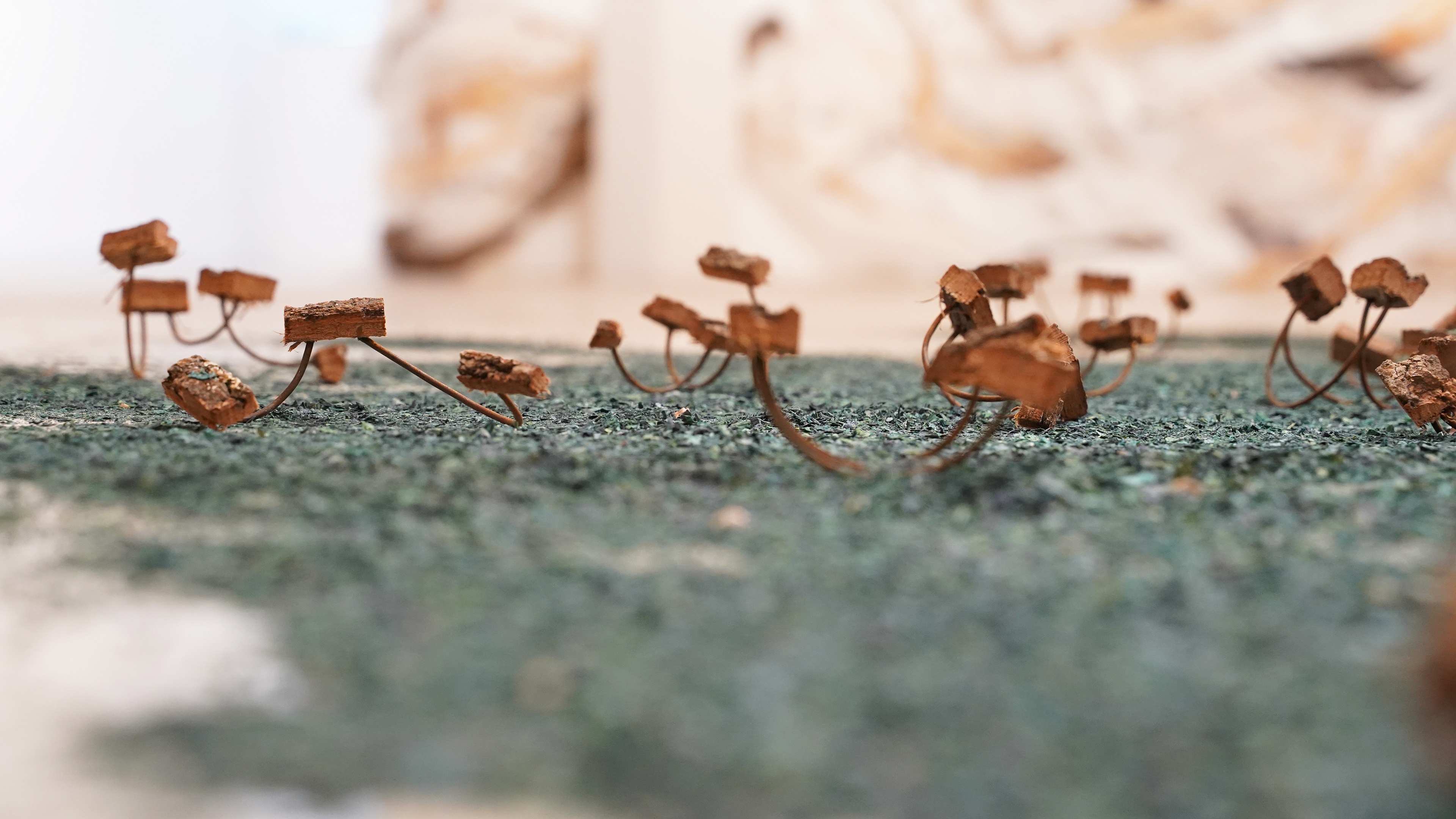 Seeds Install Shot Wood, steel, wood shavings Installation dimensions vary