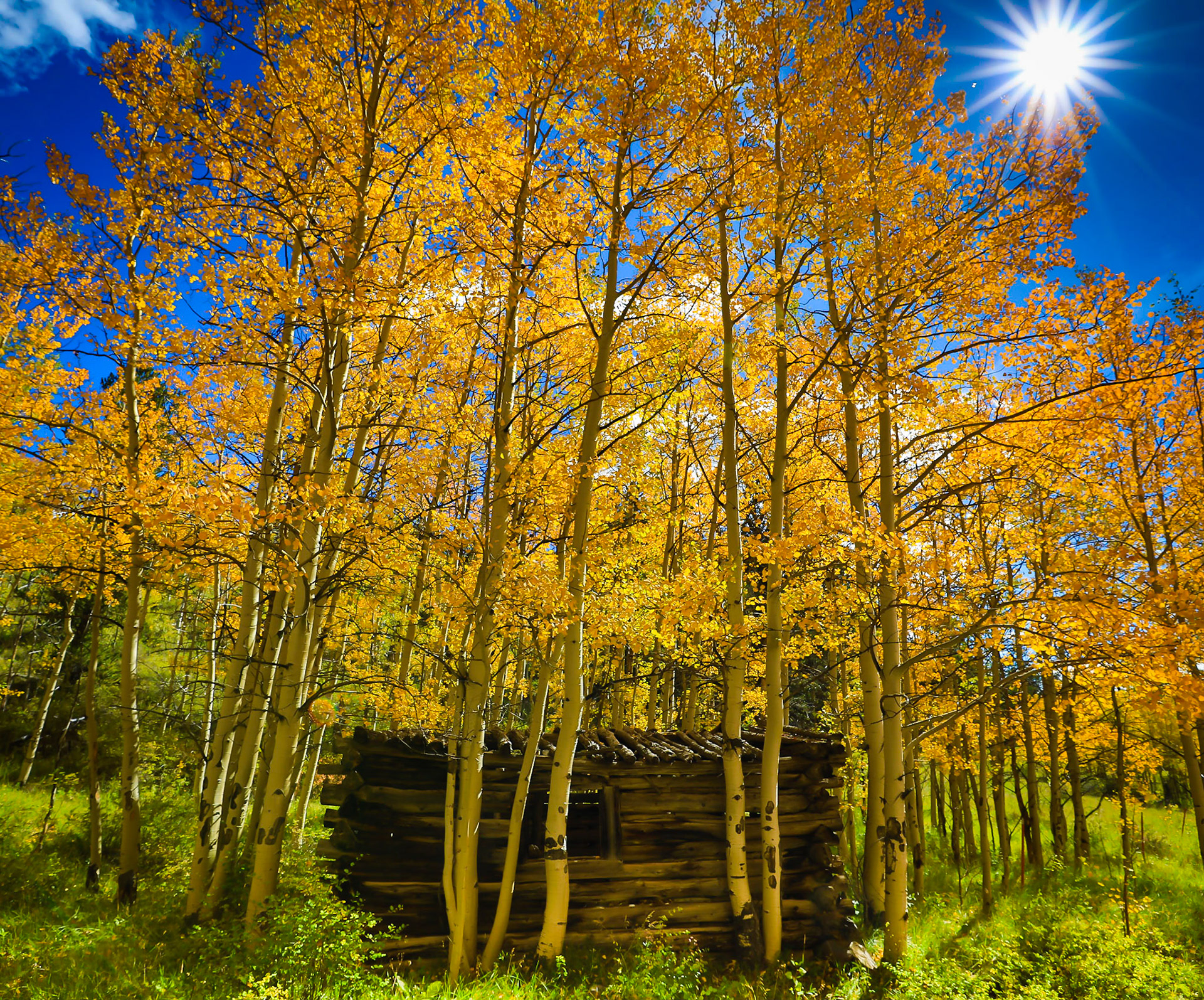 Cabin in the Fall Aspens Fairplay, CO