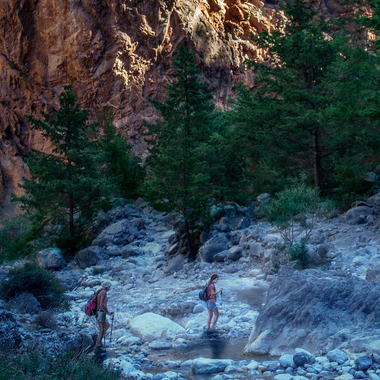 Benedikt Schott FASHION II