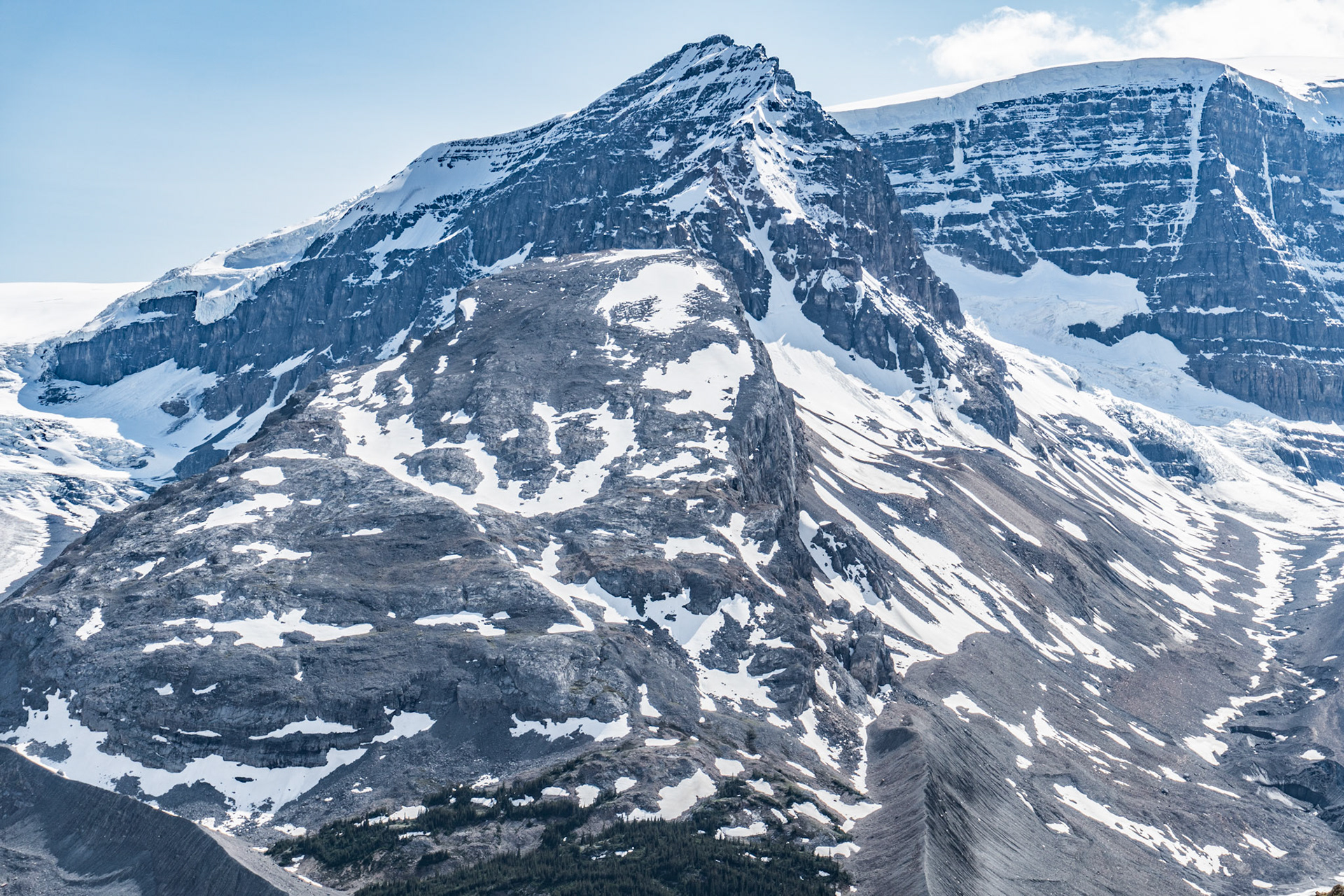 Wilcox Pass