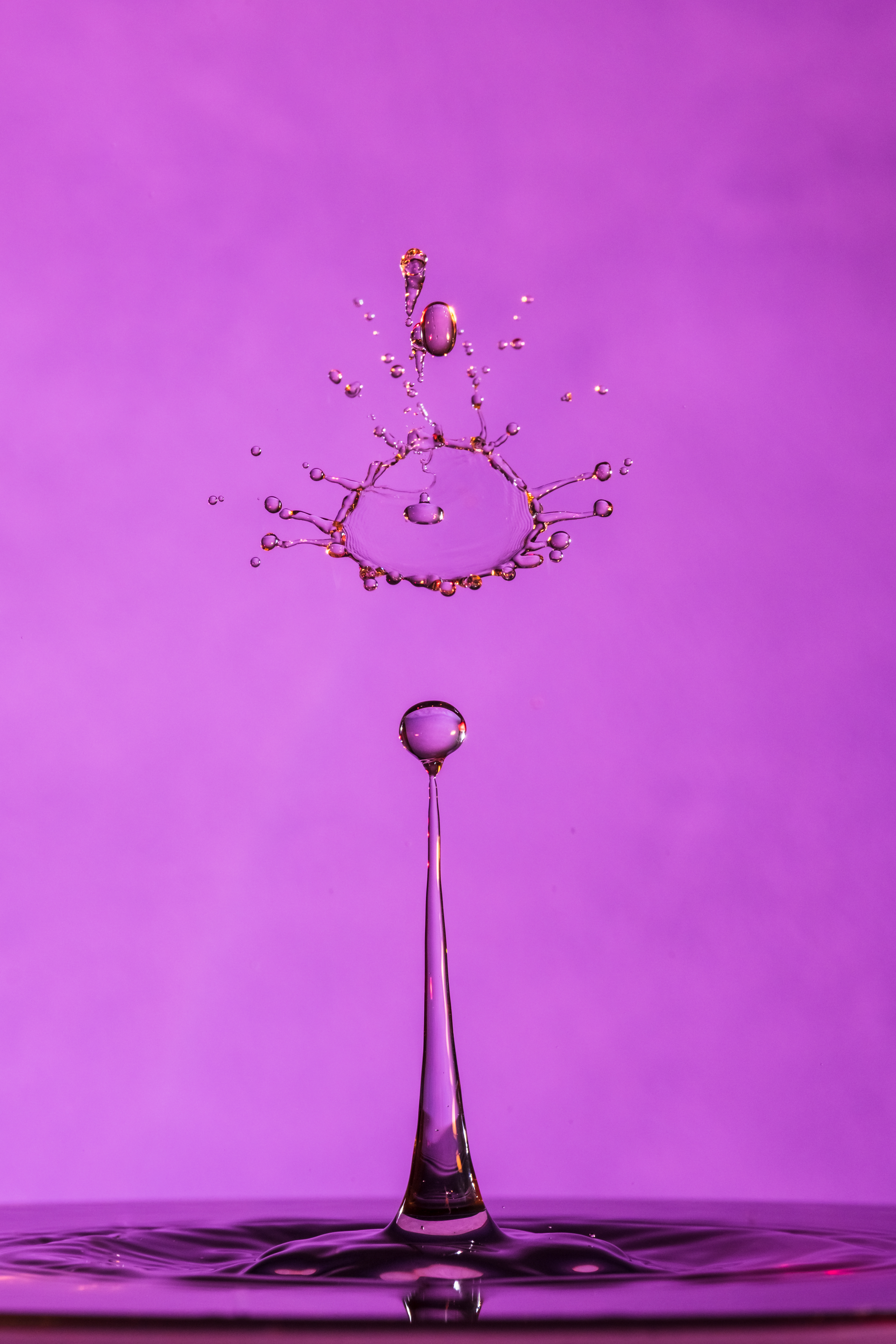 Crowning Glory