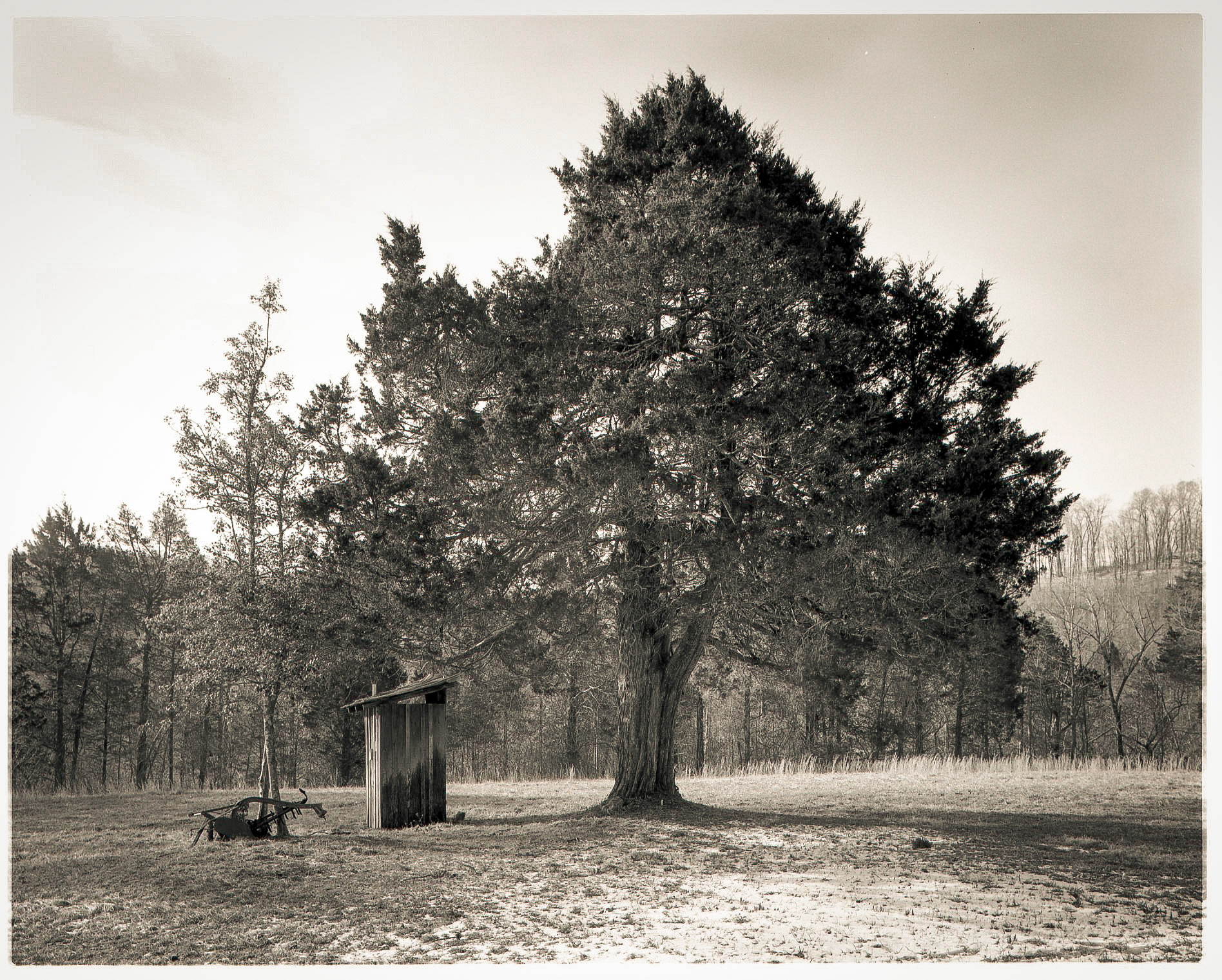 Cedar in Snow, with Outhouse, Pulaski Co